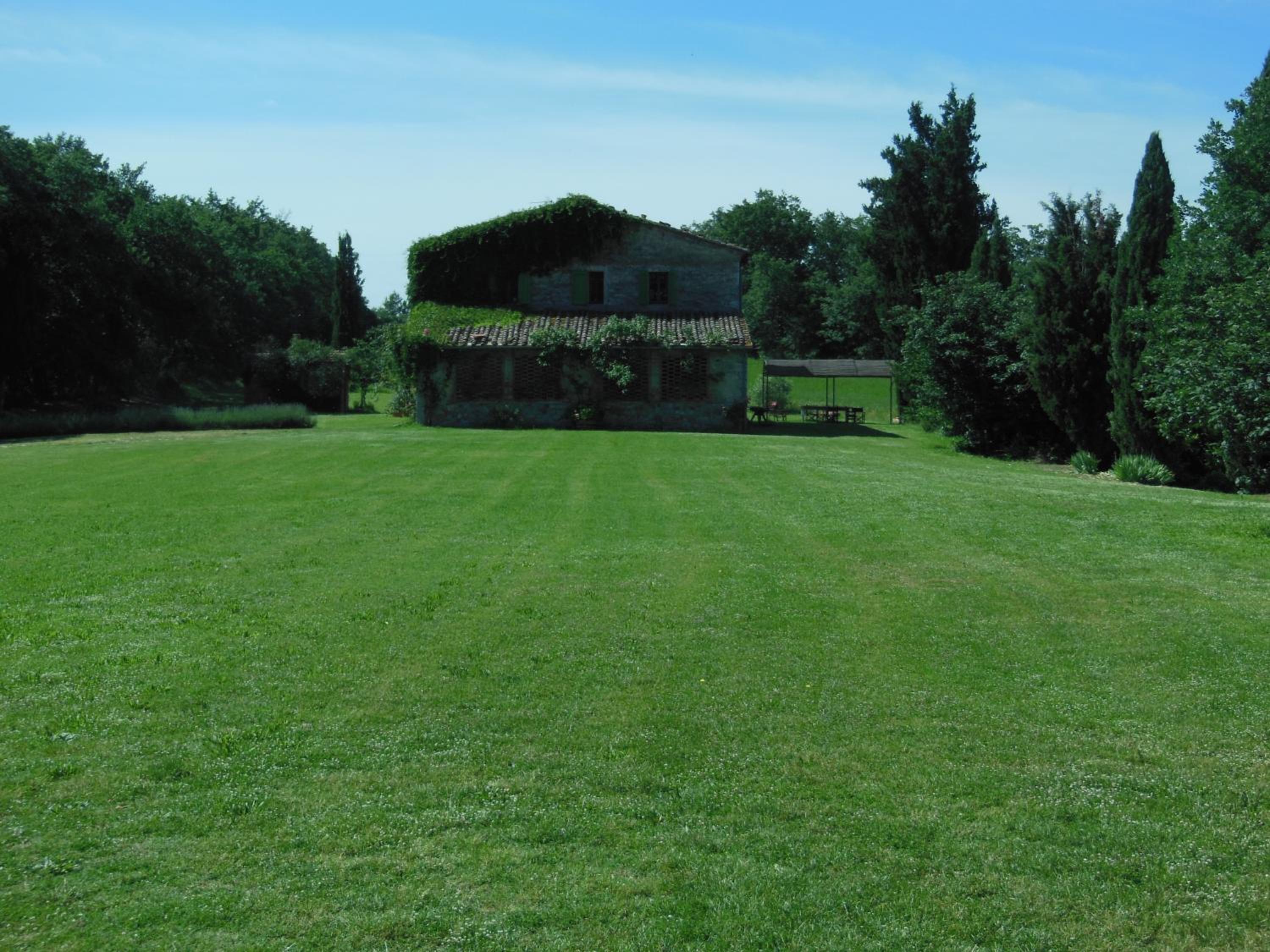 Photo 41