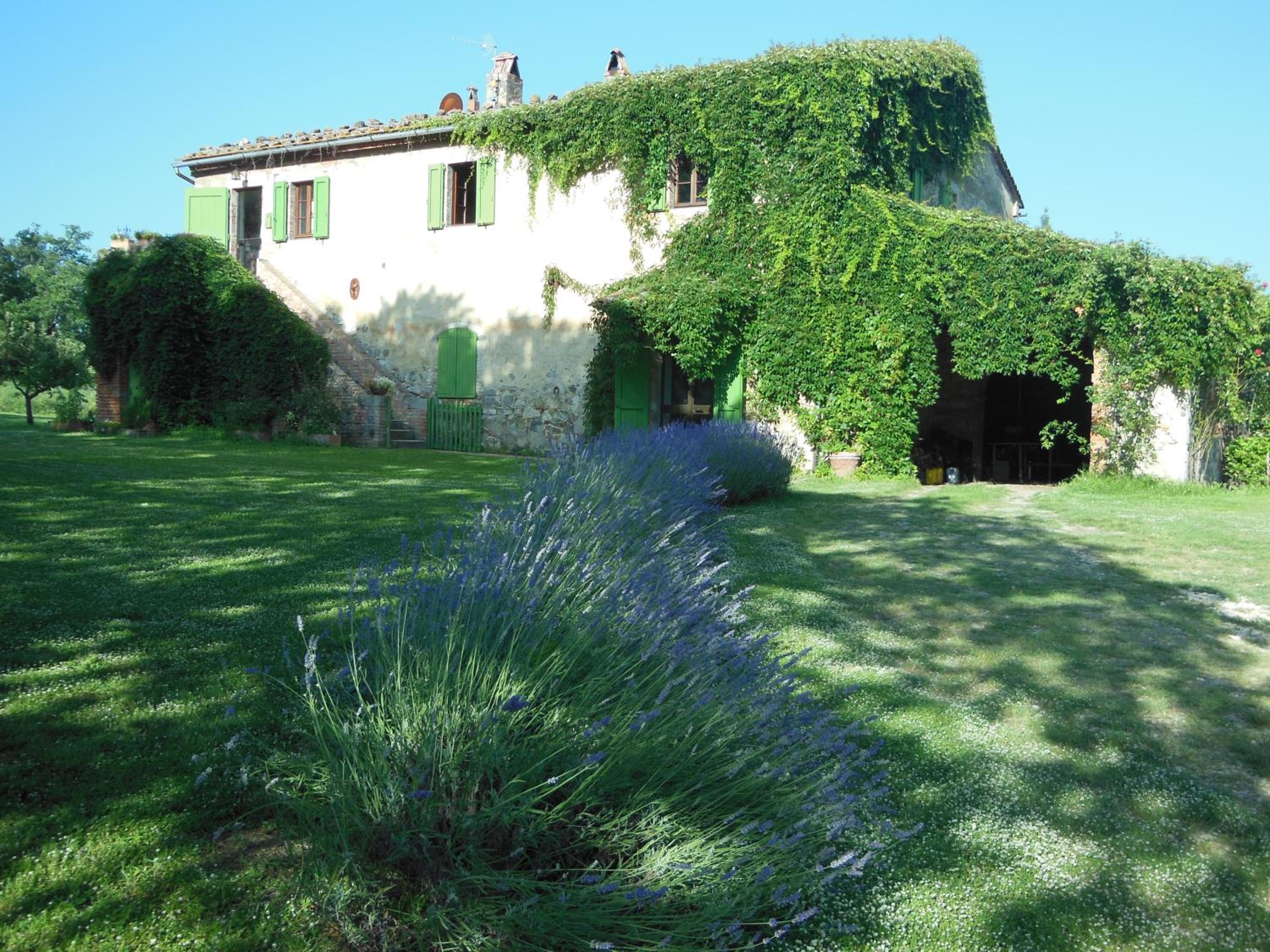 Photo 44