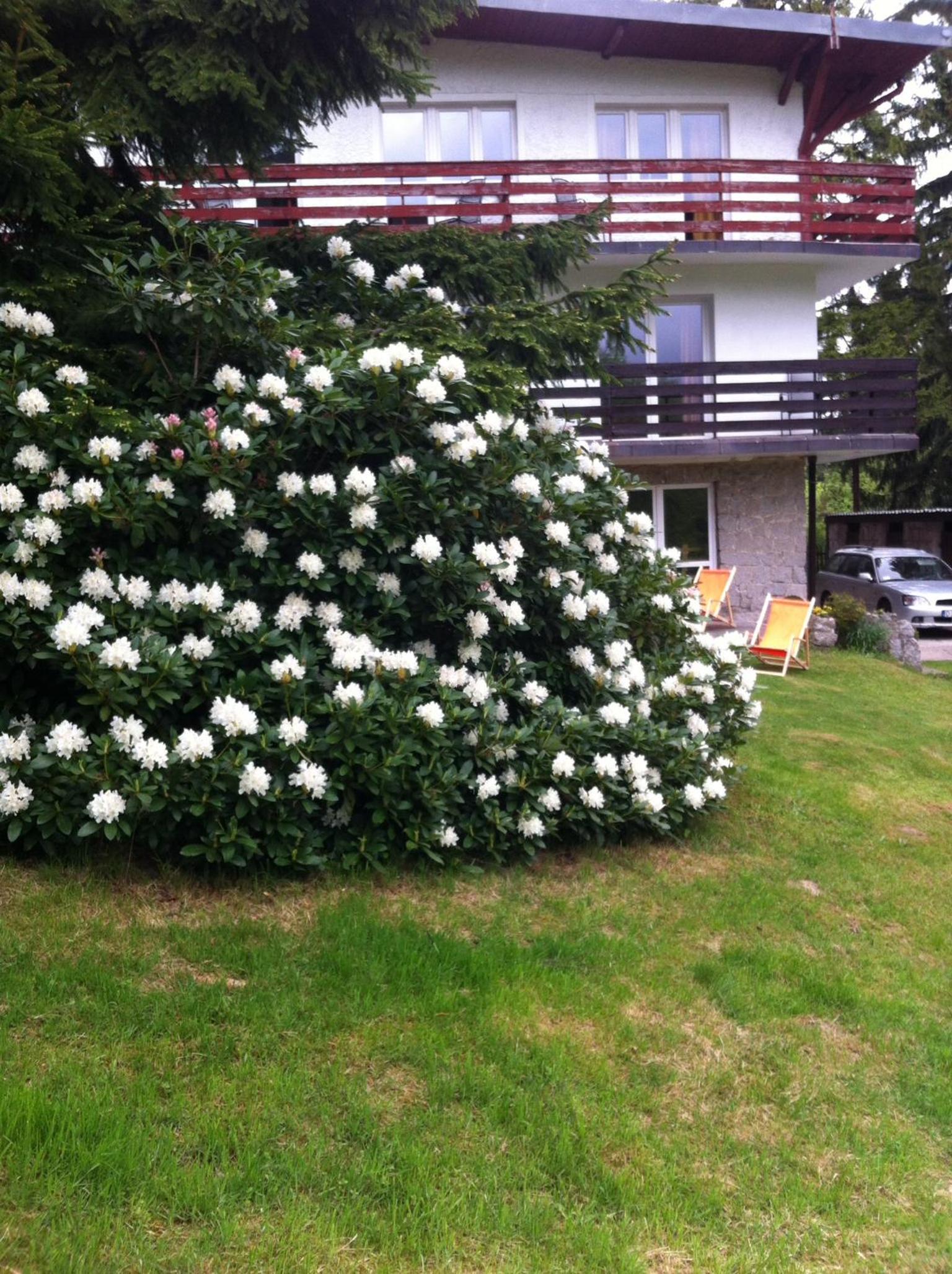 Photo 32
