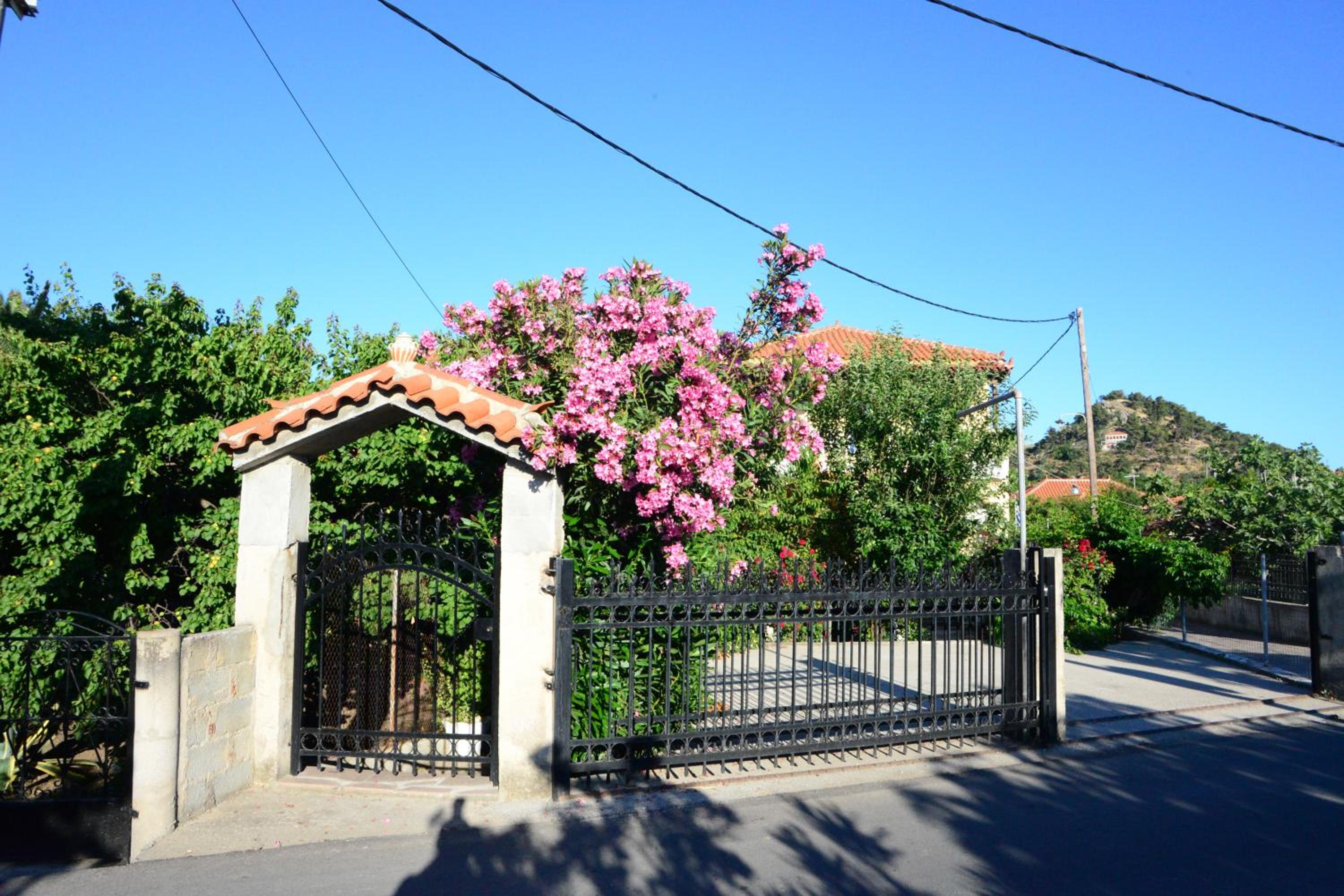 Photo 41