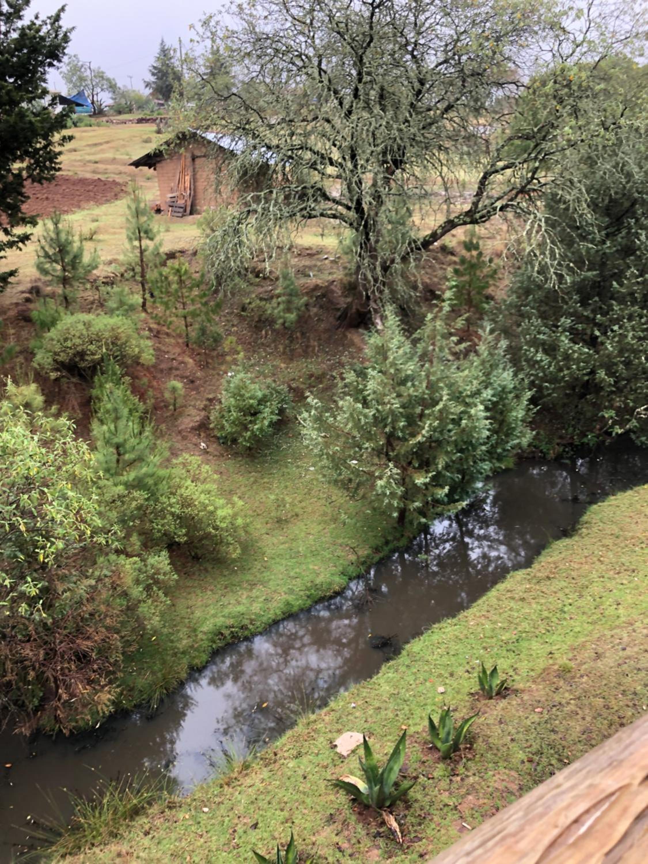 Photo 26