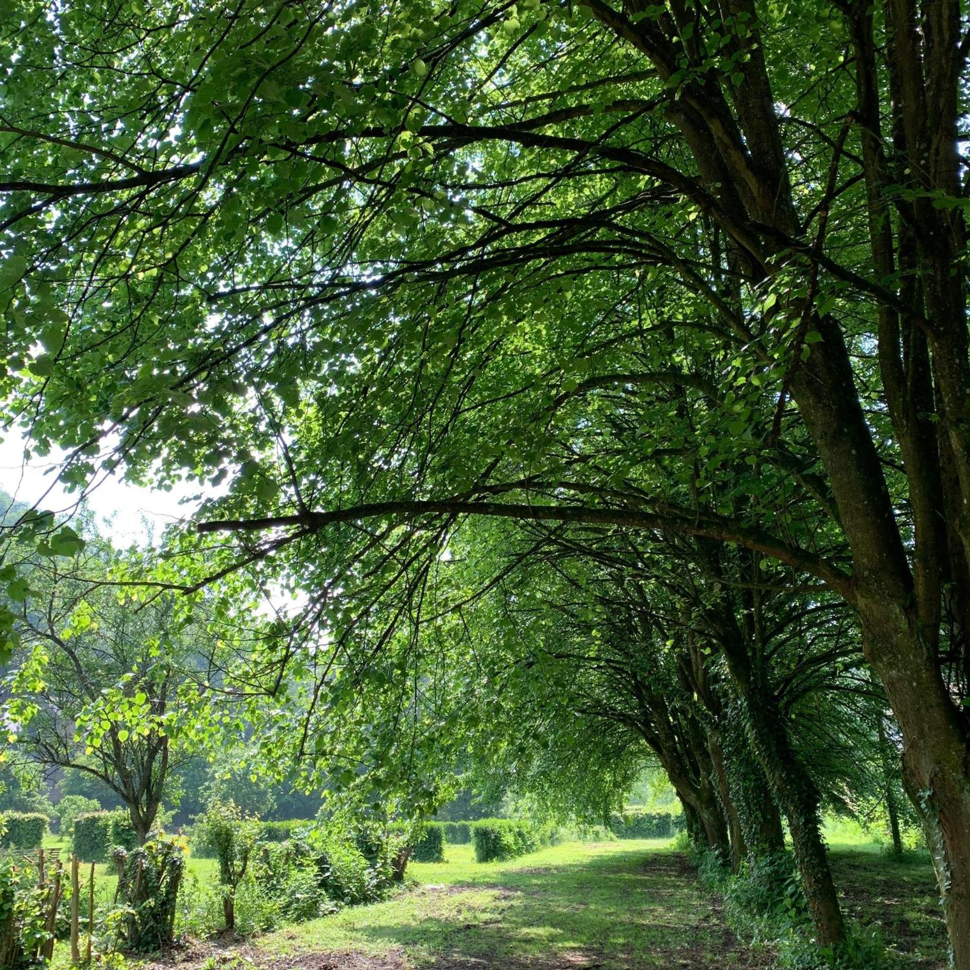 La Porterie de l’Abbaye de Marche les Dames