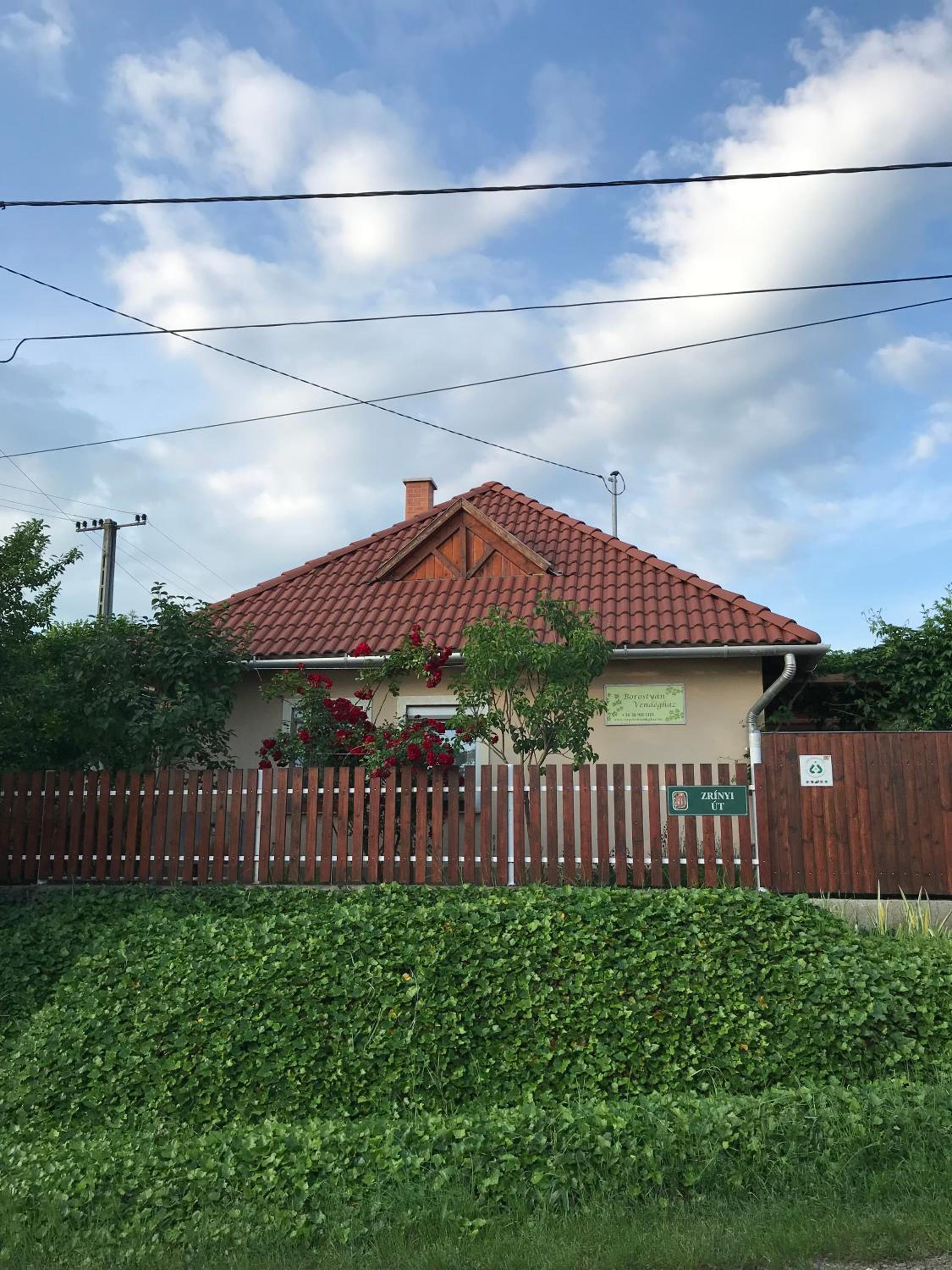 Photo 17
