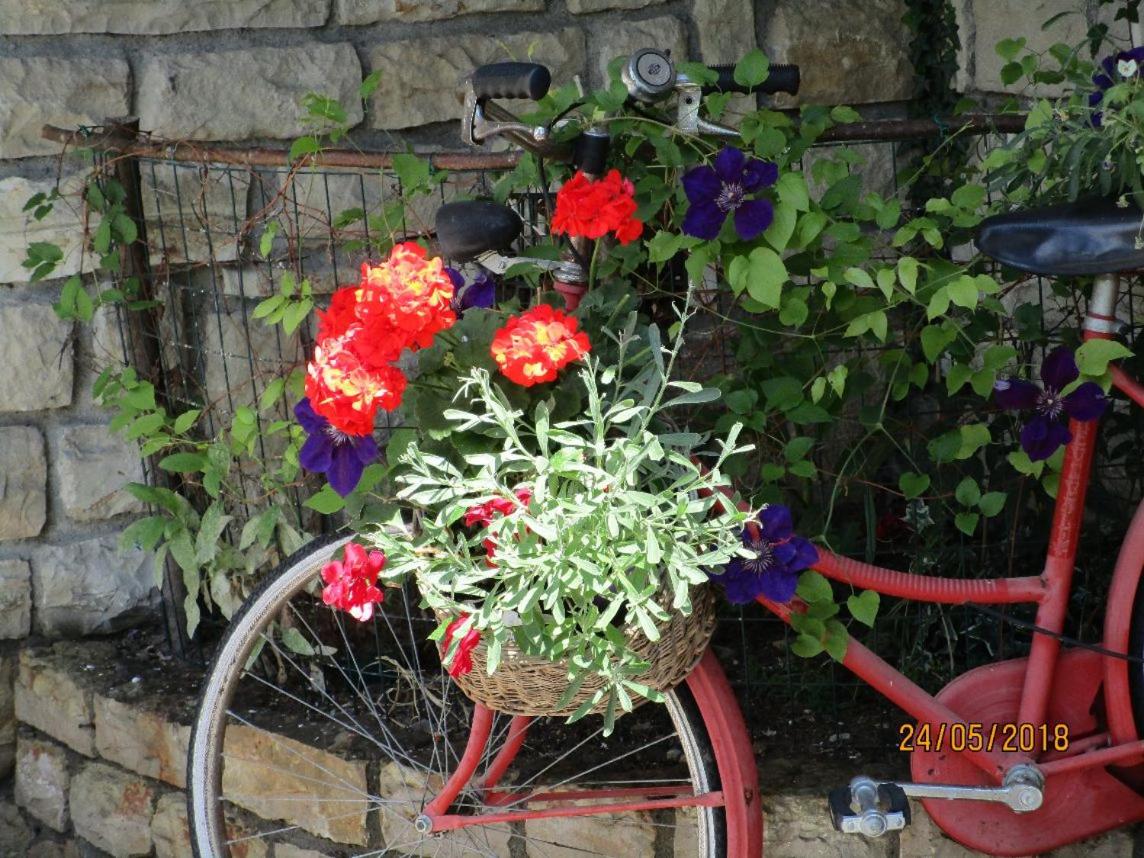 Photo 14