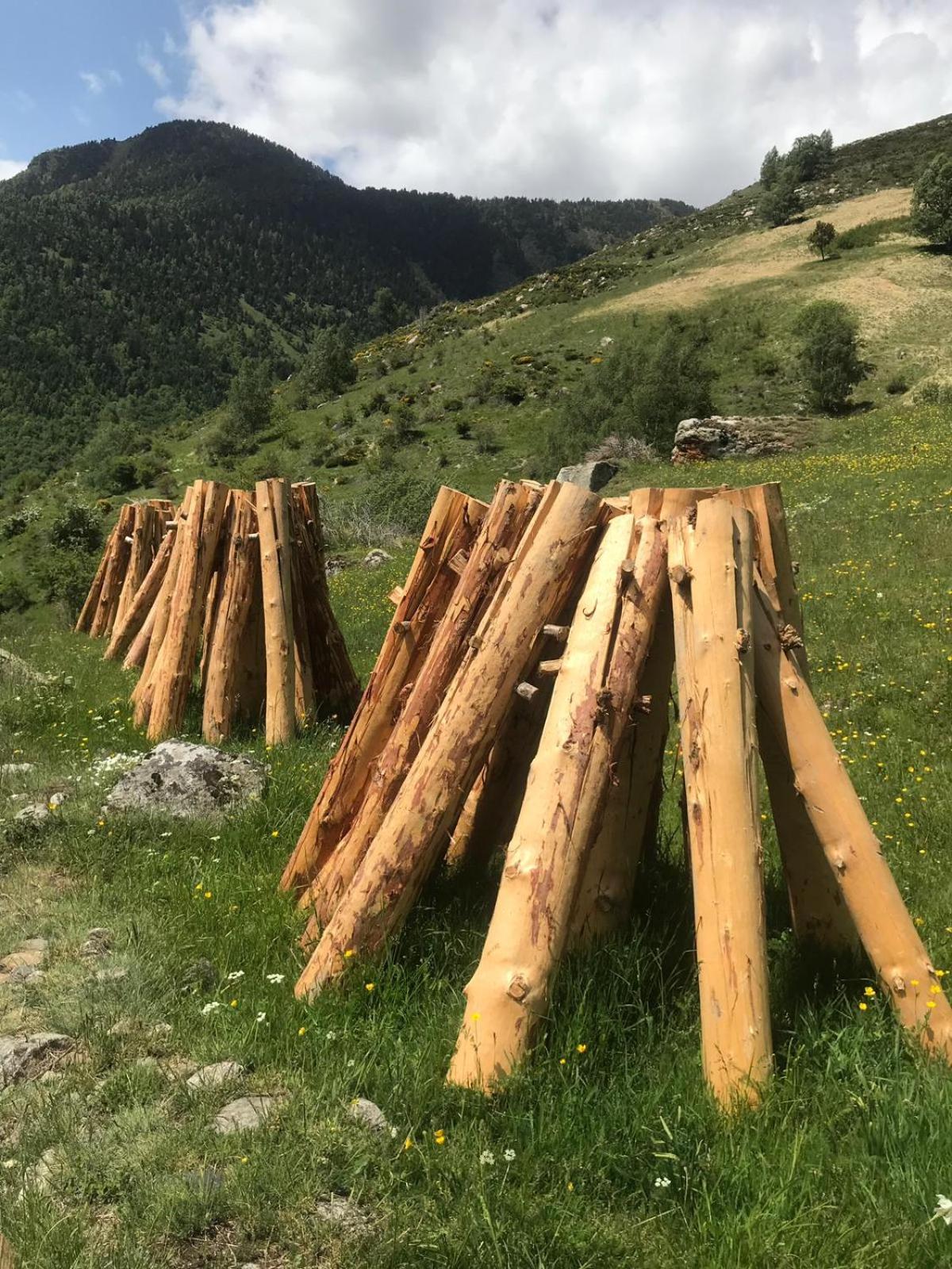 Acogedora casita en el Pallars view 5