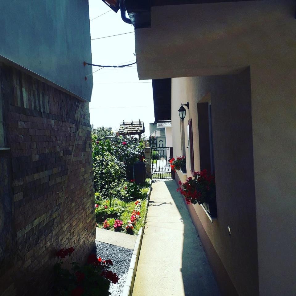 Apartman Darija view 4