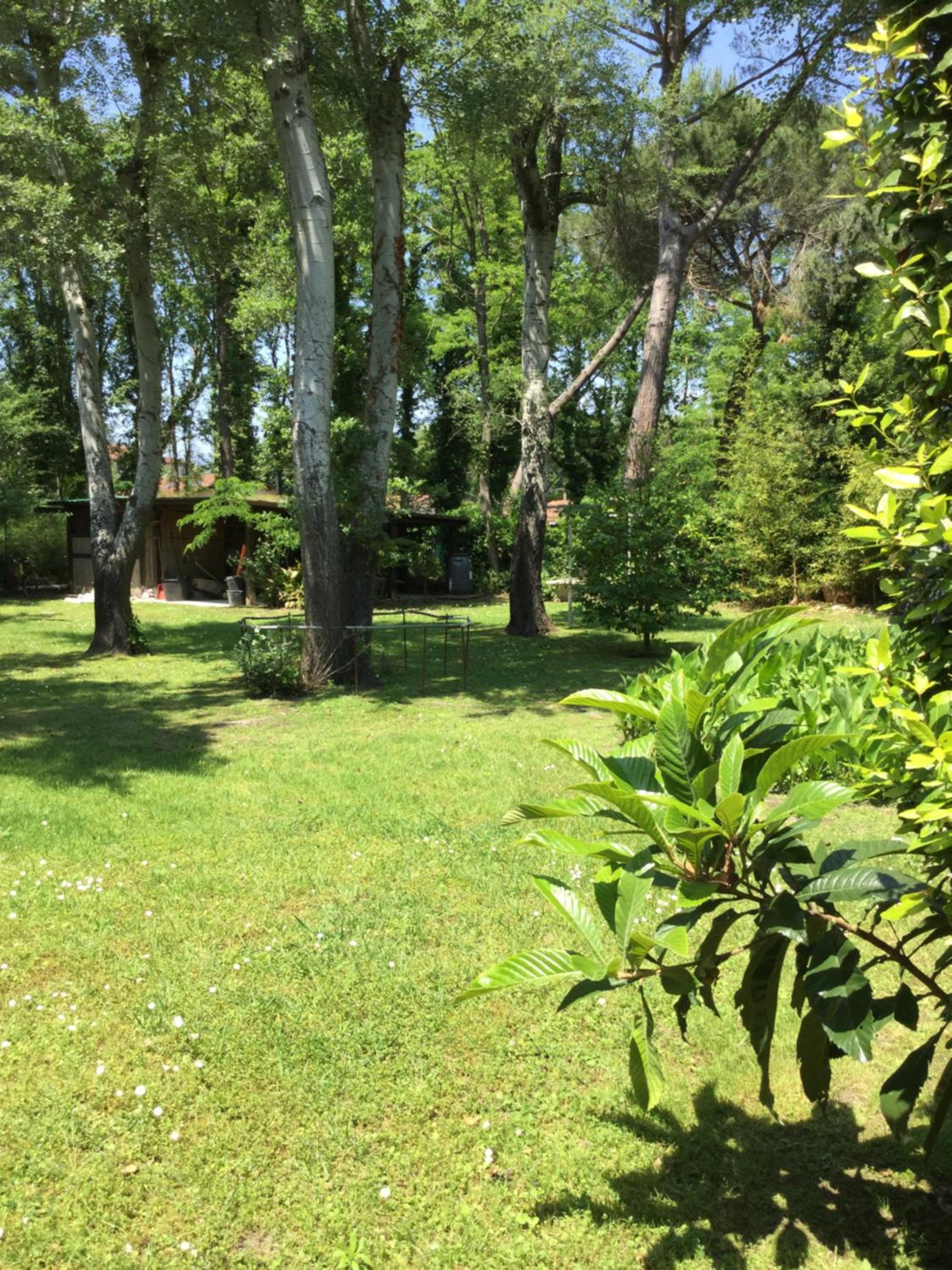 Villa Poveromo photo 4