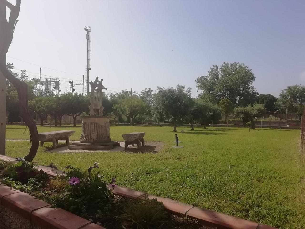 Photo 29