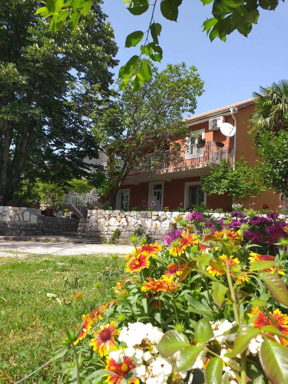 Apartman Vesna view 4
