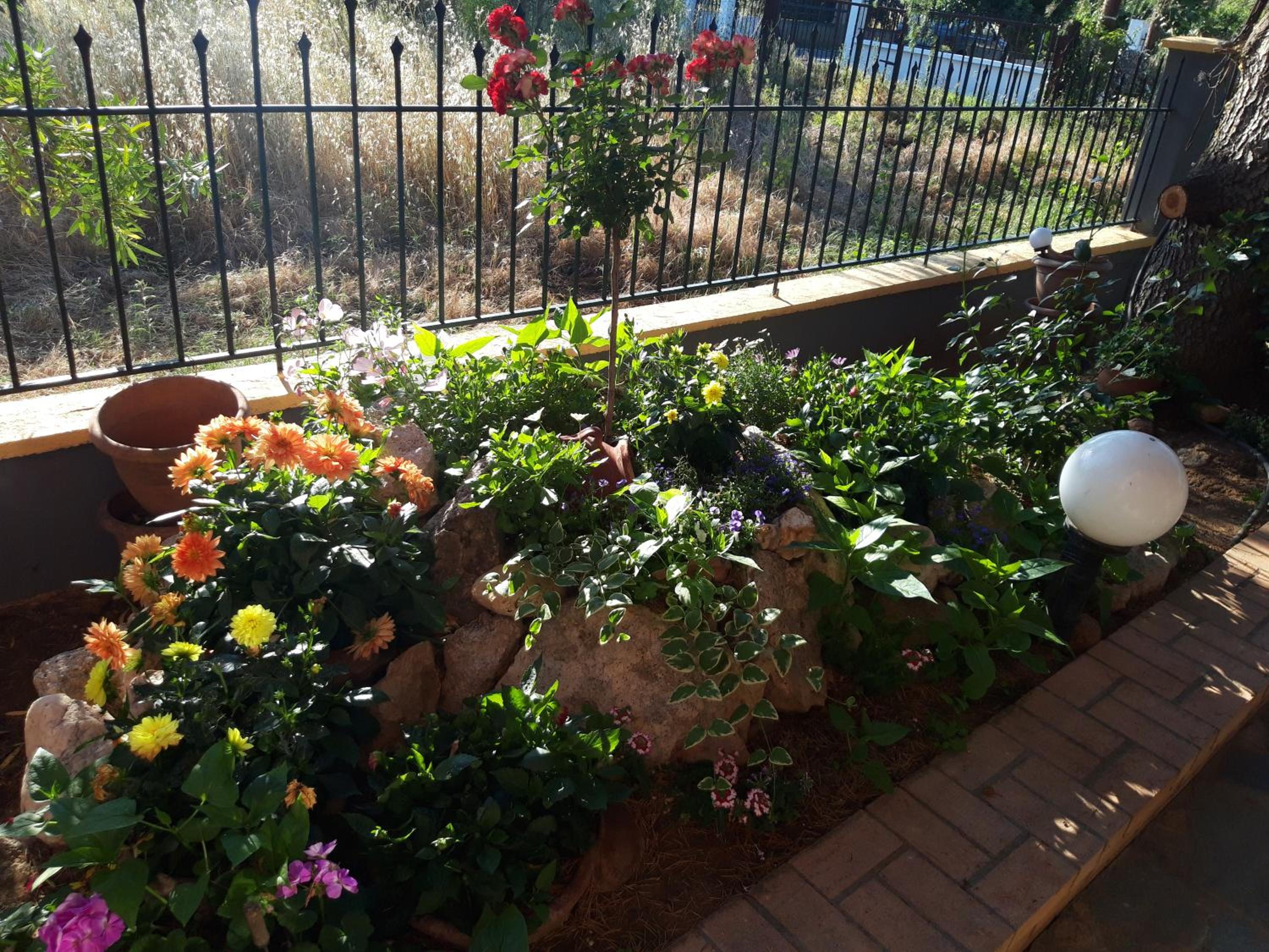 Photo 10