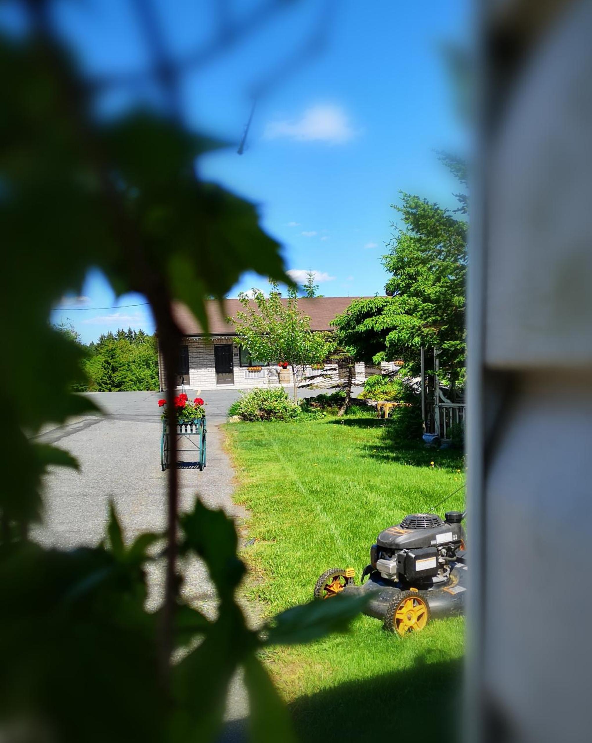 Motel Alexandrin