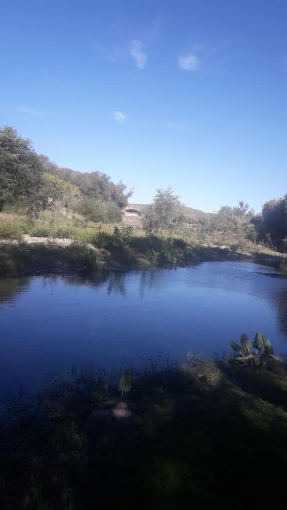 Los Cardones