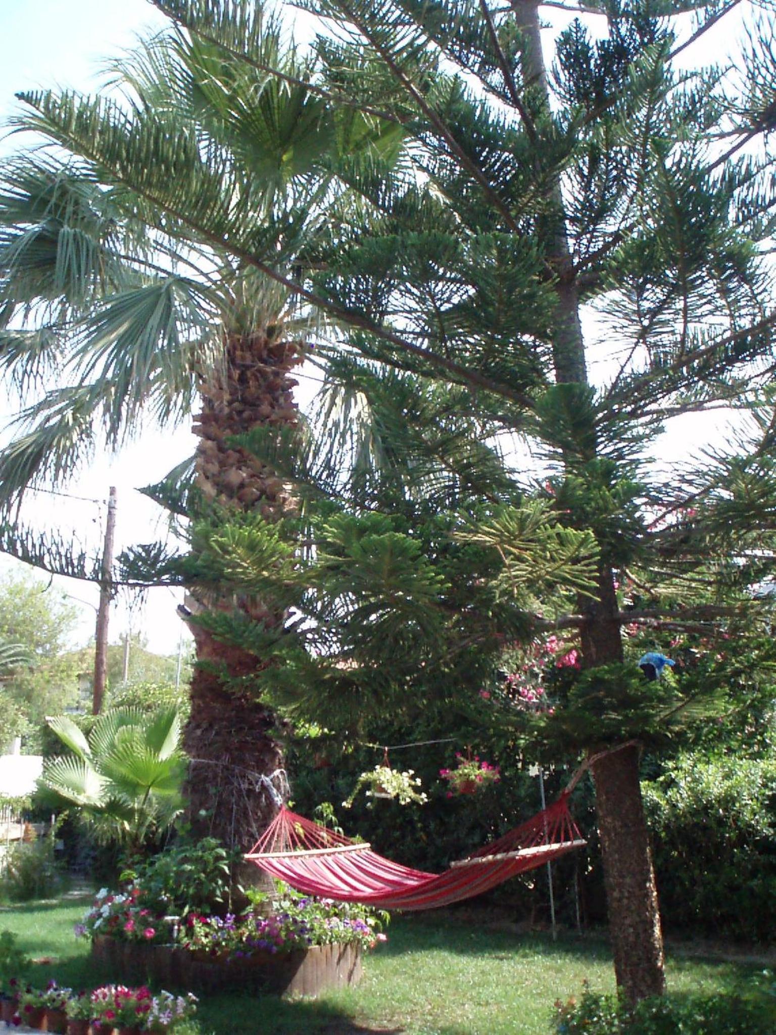 Villa Xenos