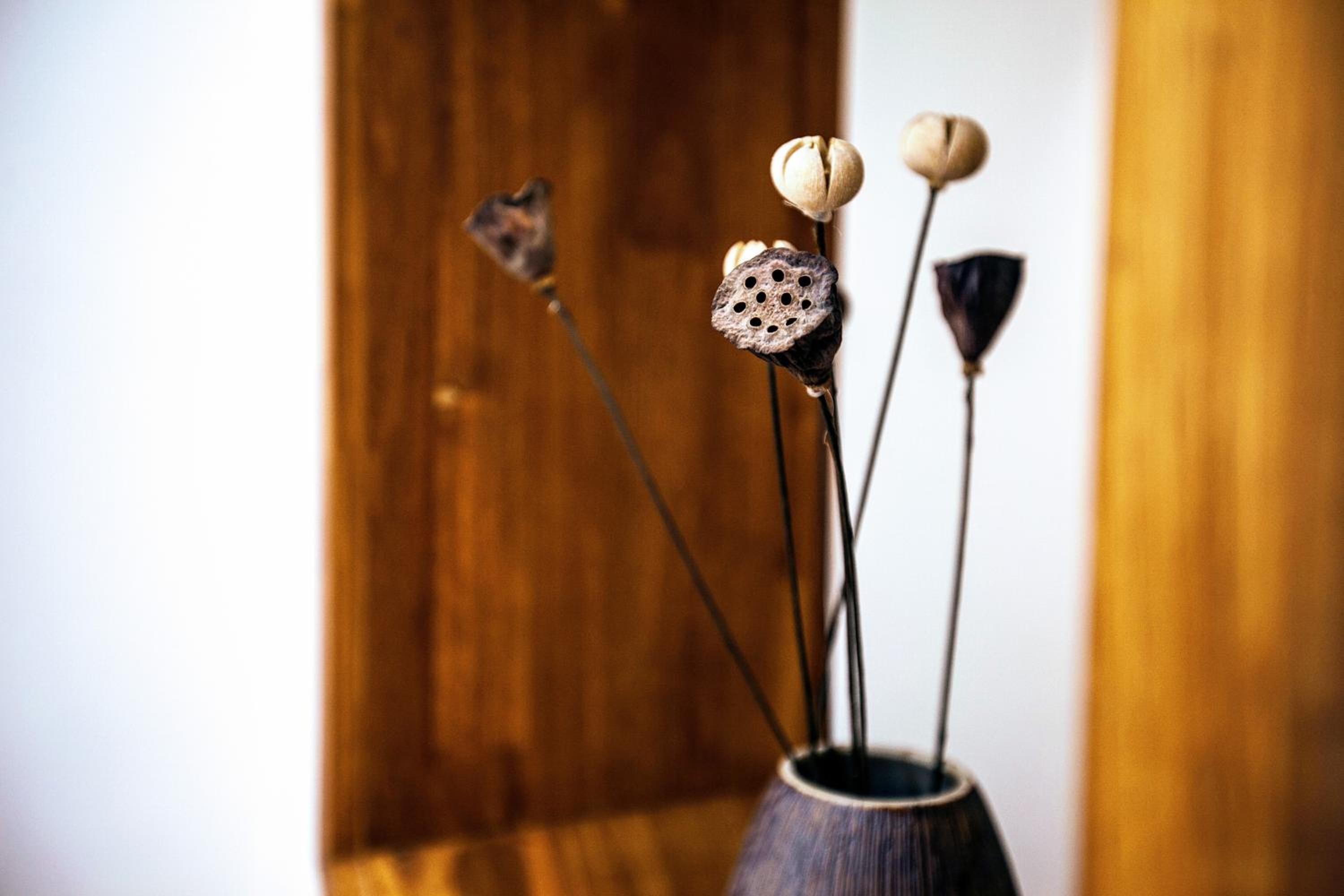 Whispering Mountains Boutique Hotel