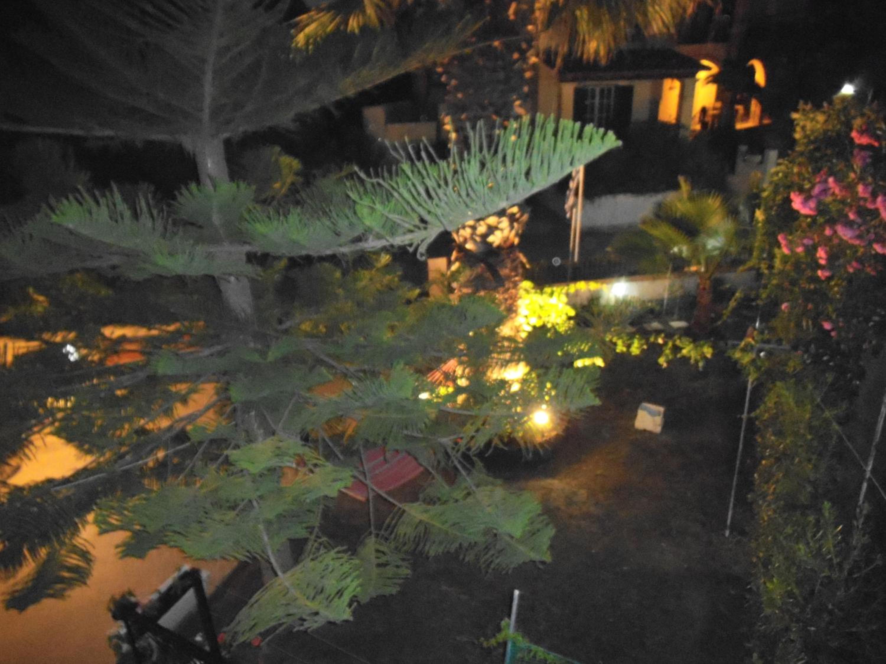 Villa Xenos