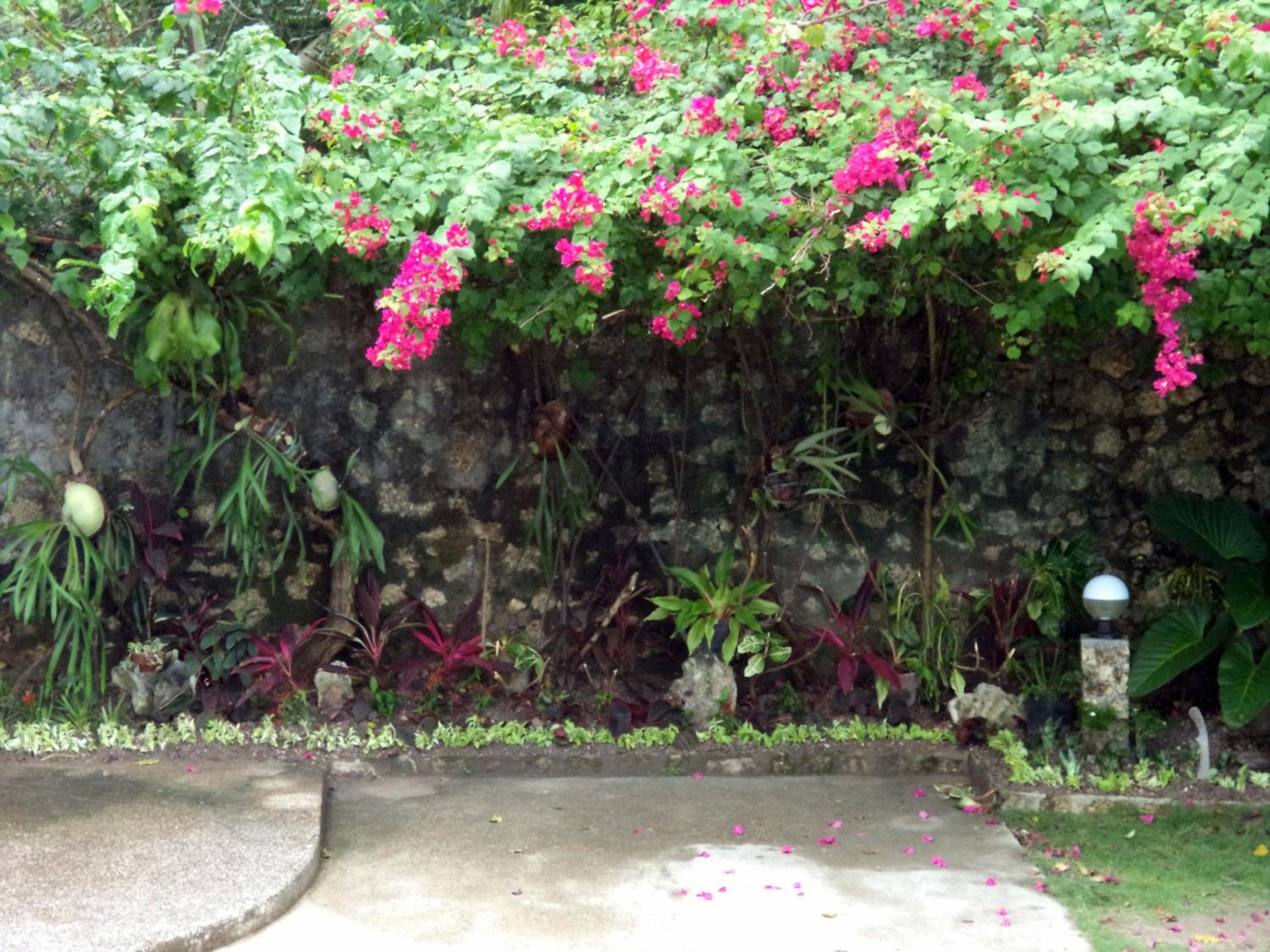 High Steps Pension