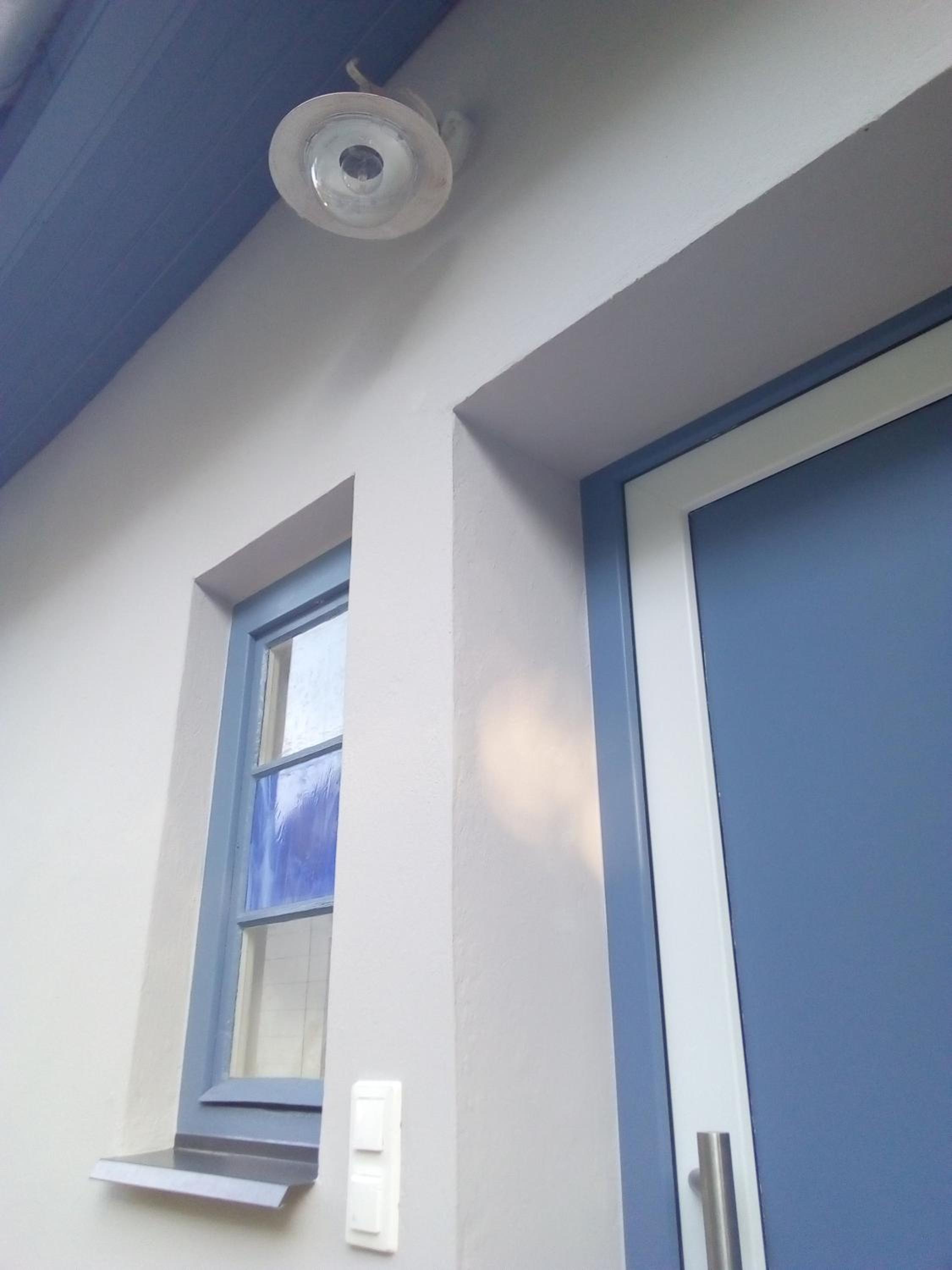 Das Nest