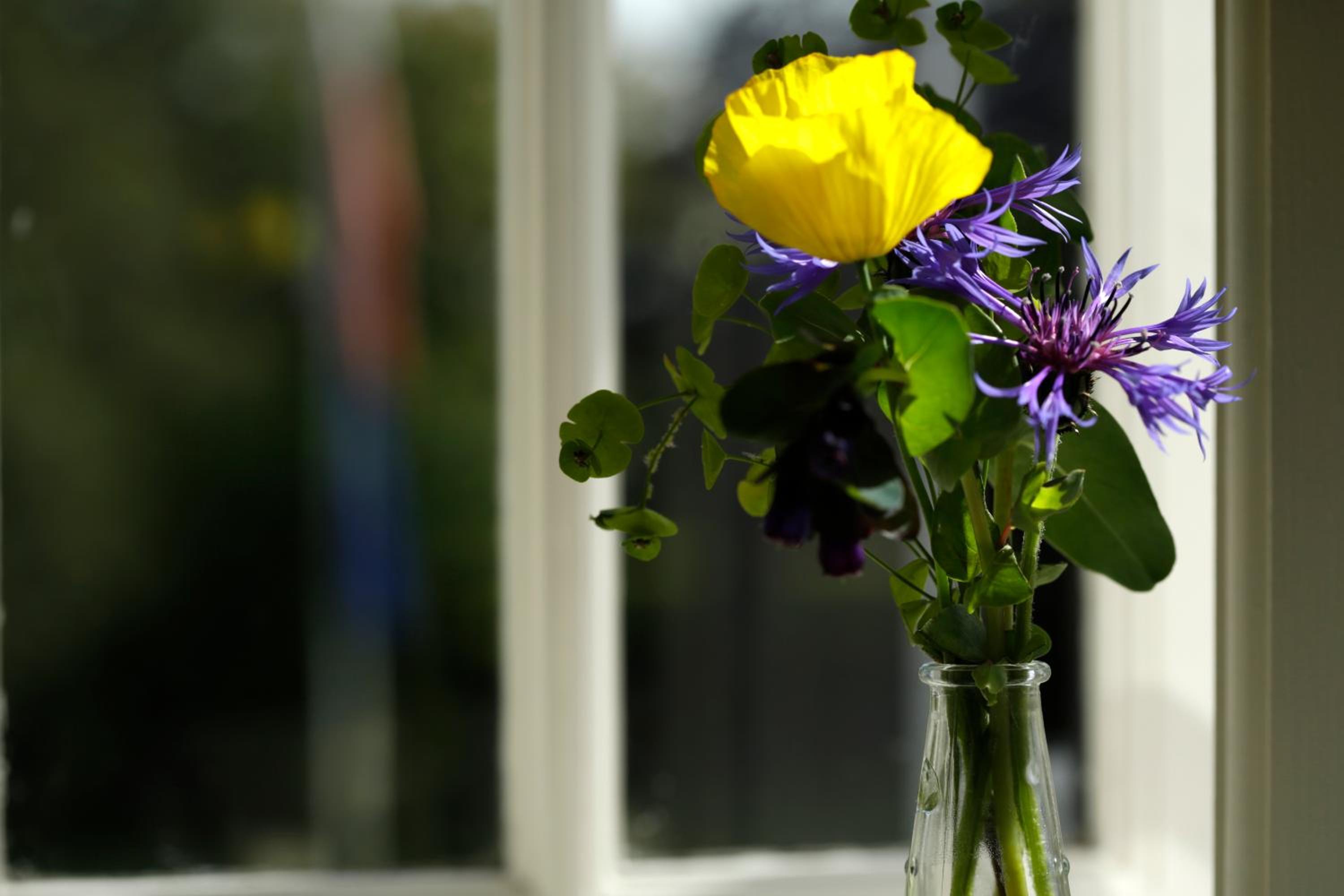Church Farm B&B near Telford and Ironbridge