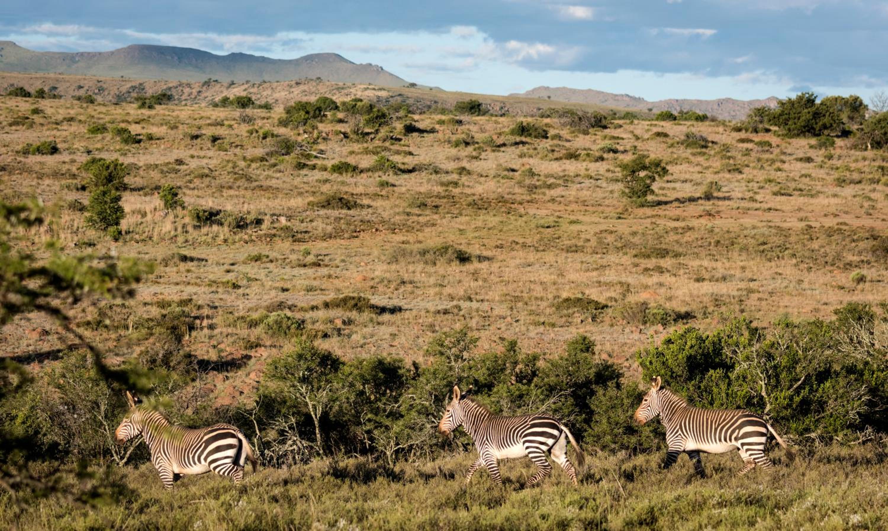 Mount Camdeboo Private Game Reserve by NEWMARK