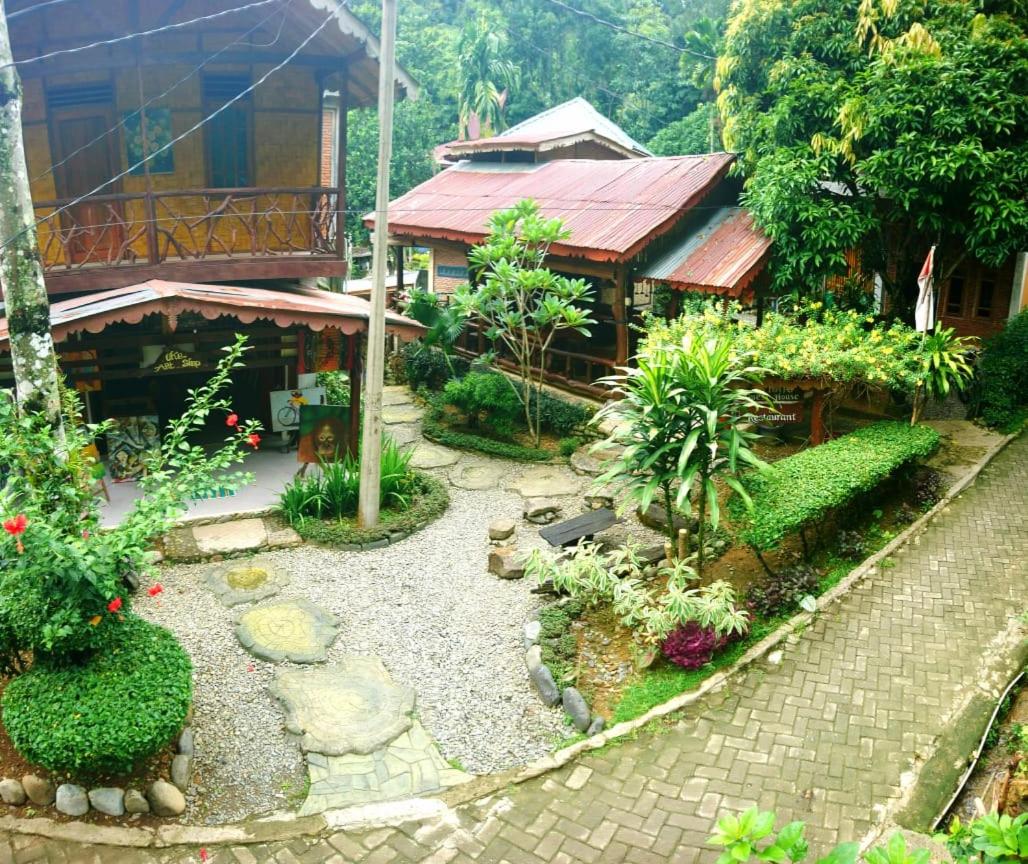 Eriono guest house Bukit lawang view 5