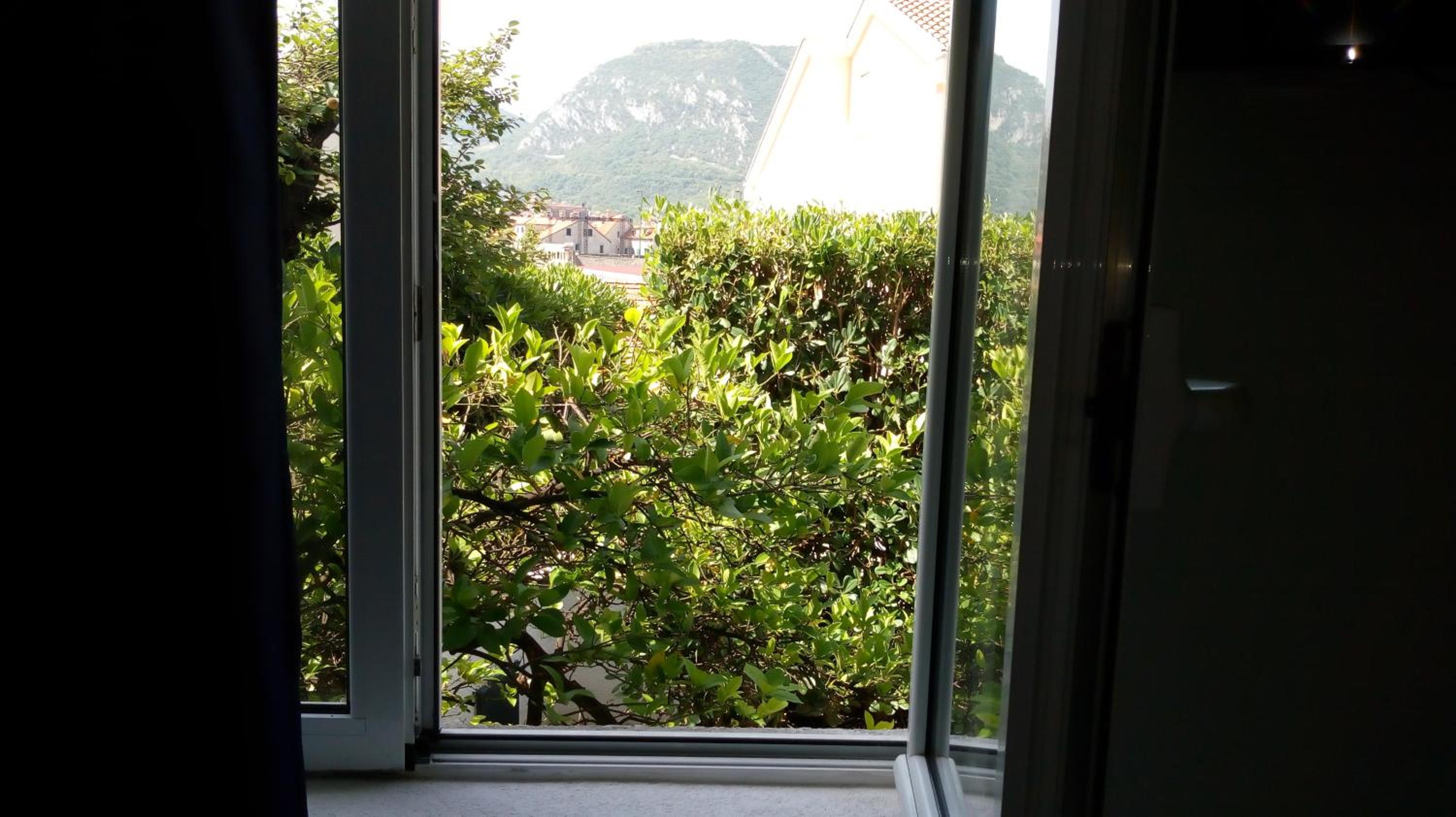 Tea apartments view 5