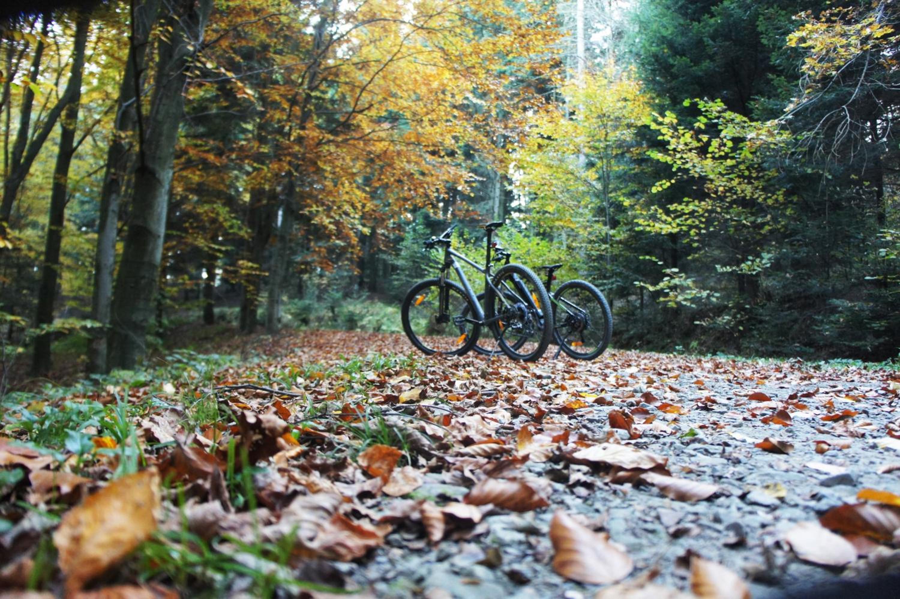 RowerowyFun, photo 19