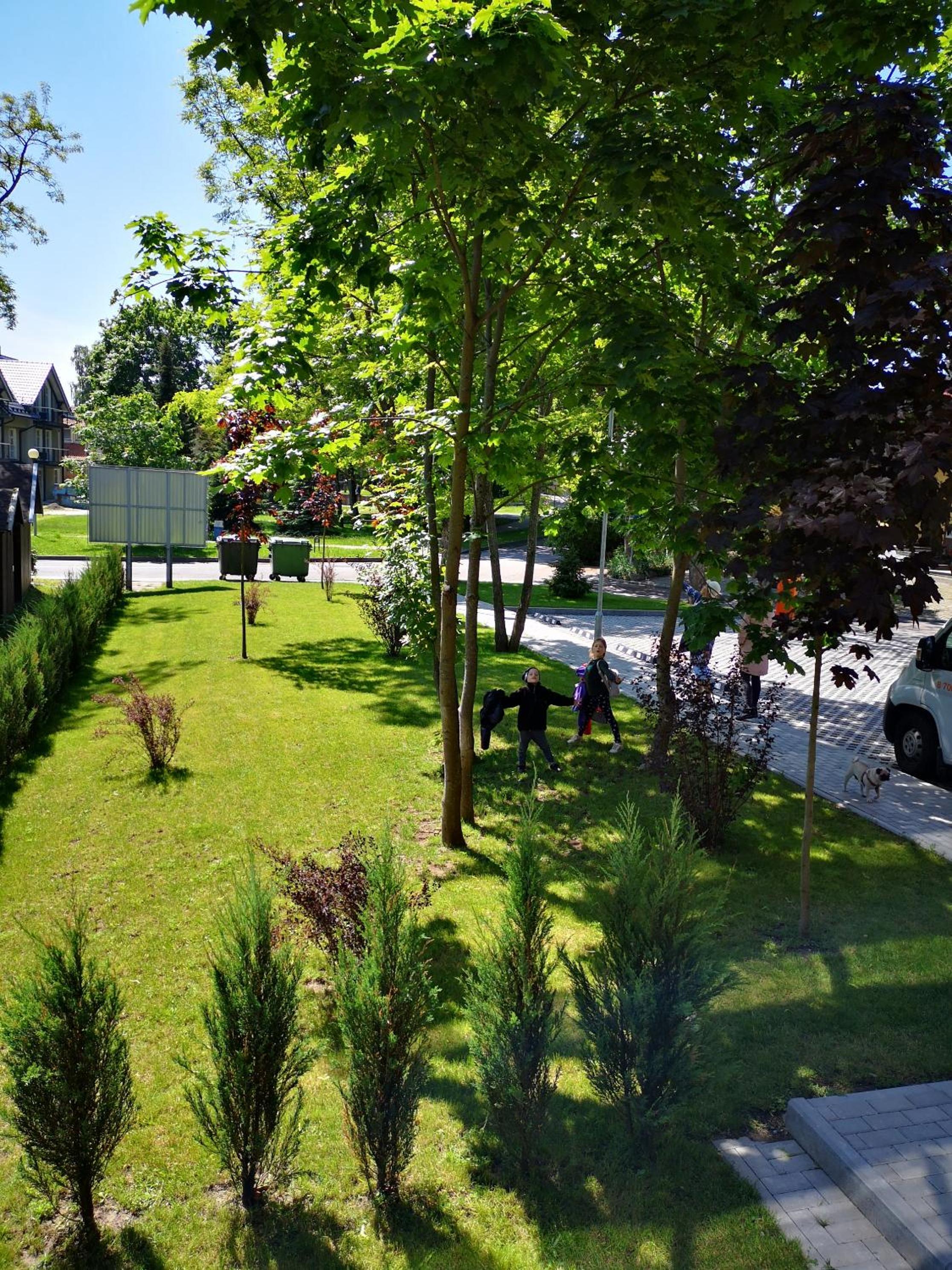Photo 6