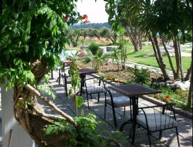 outdoor BBQ area