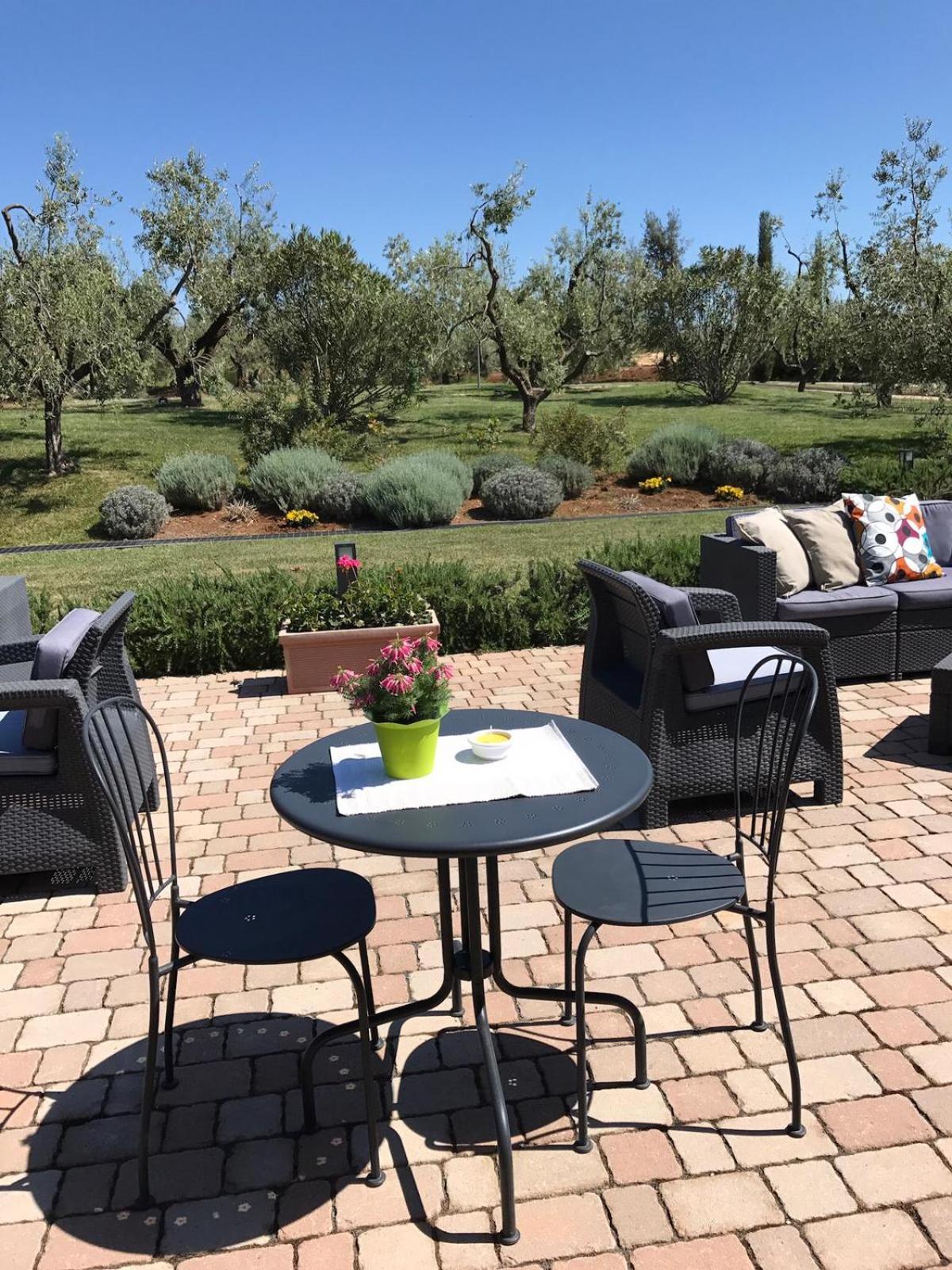 Il Casale degli Ulivi - Agriturismo - TENIMENTI LEONE