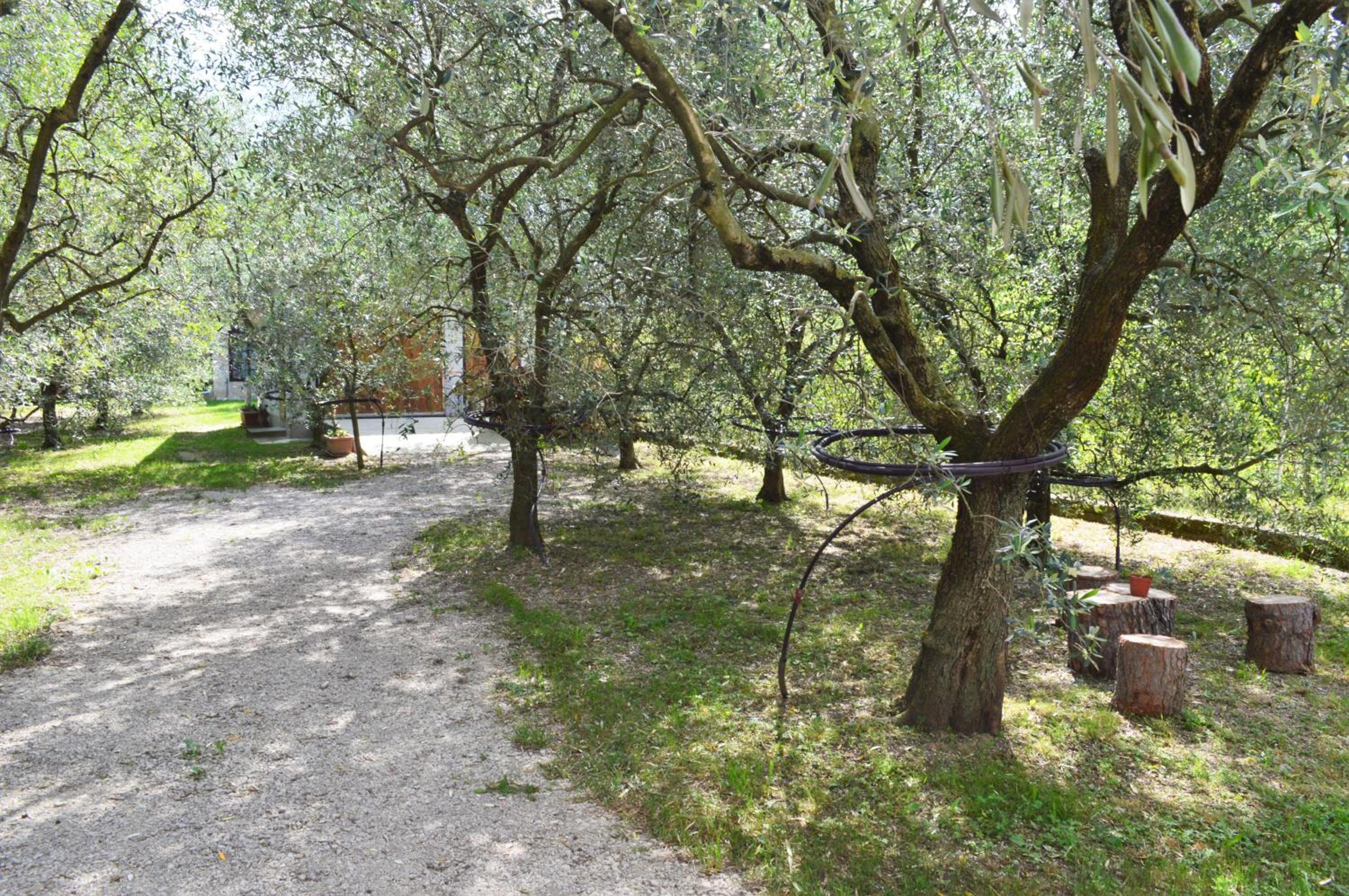 Photo 26
