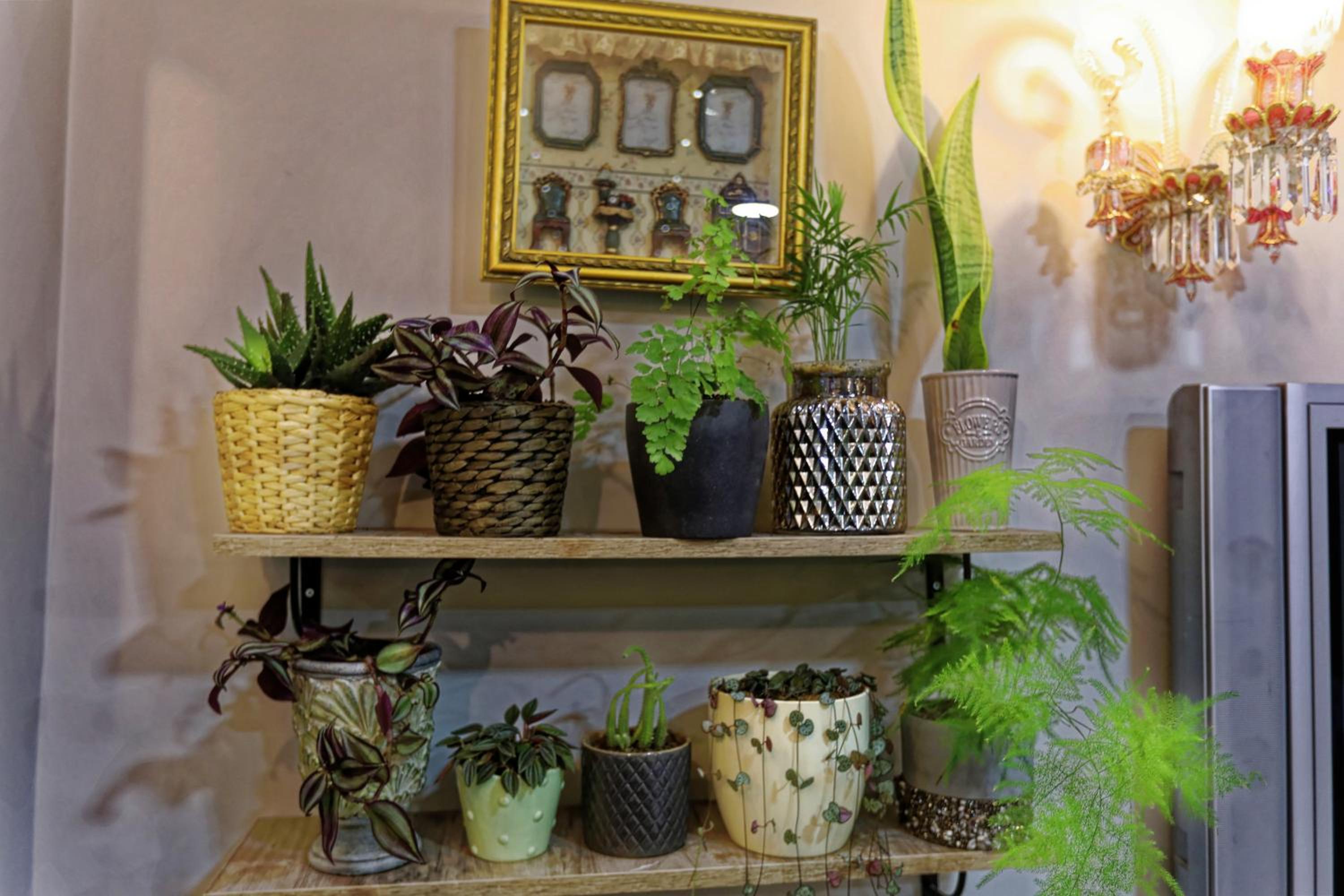 Romantic Hotel Istanbul - Image 62