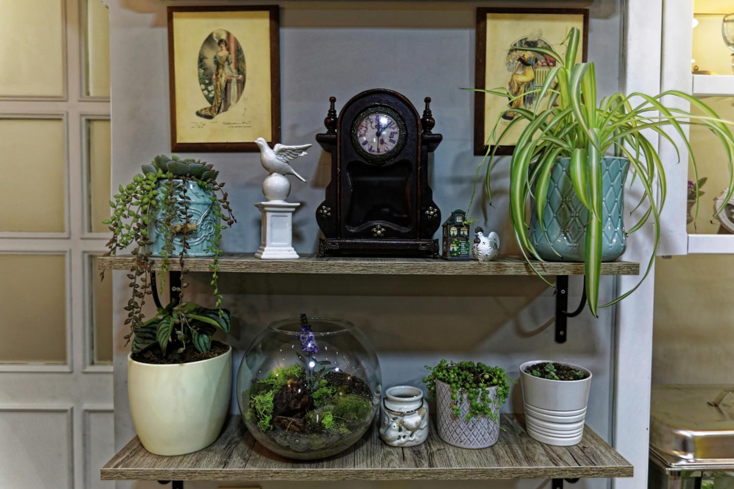 Romantic Hotel Istanbul - Image 6