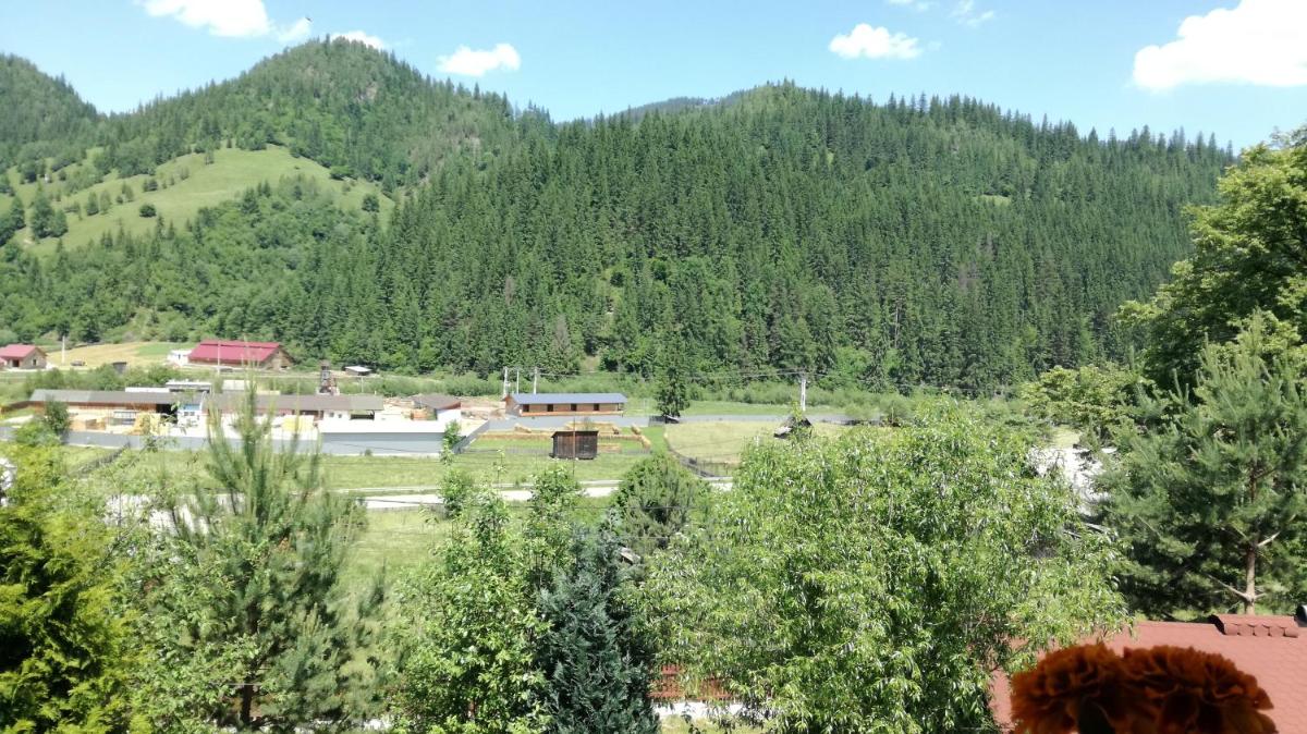 Flori de Bucovina view 4