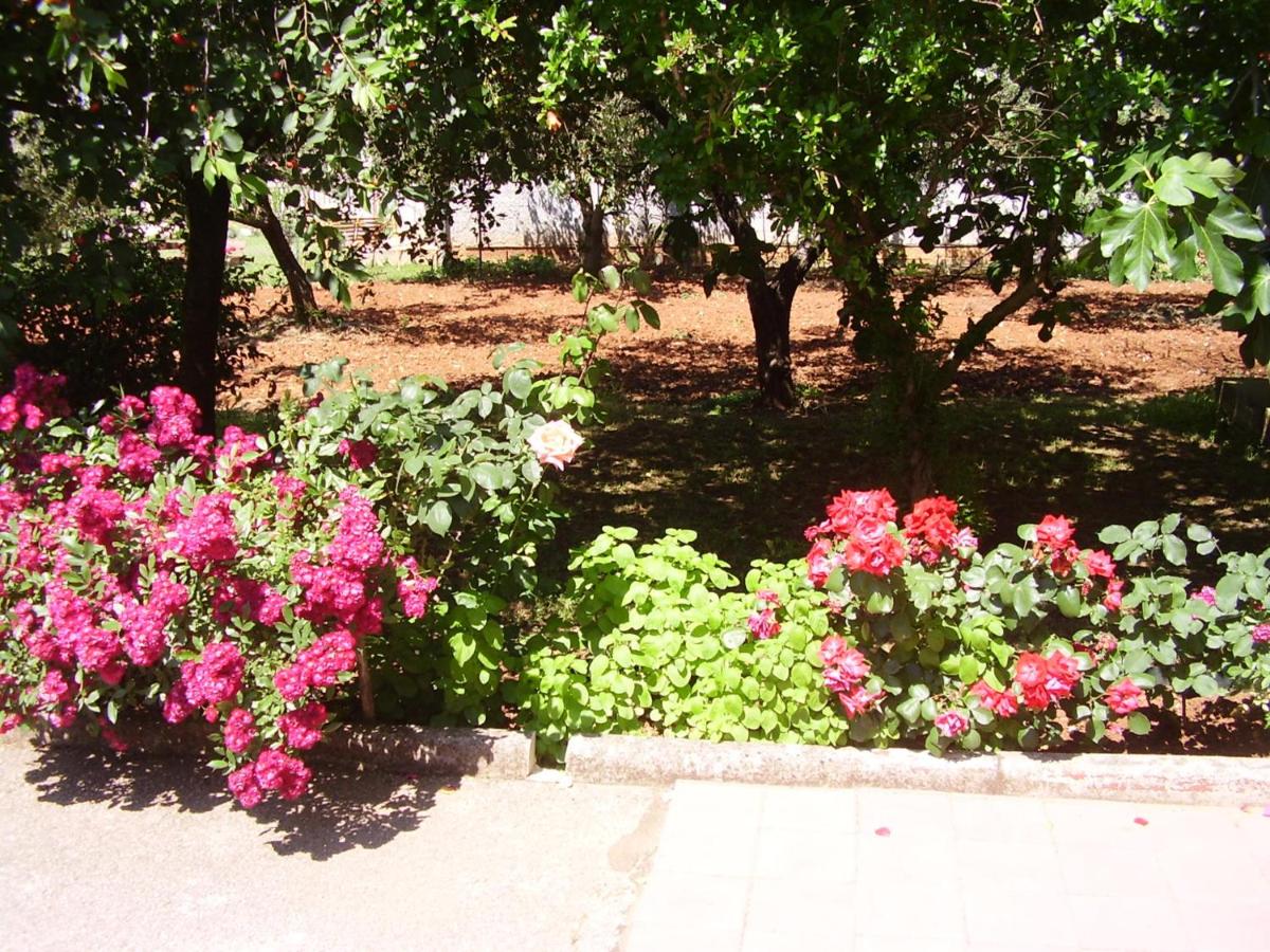 Photo 49
