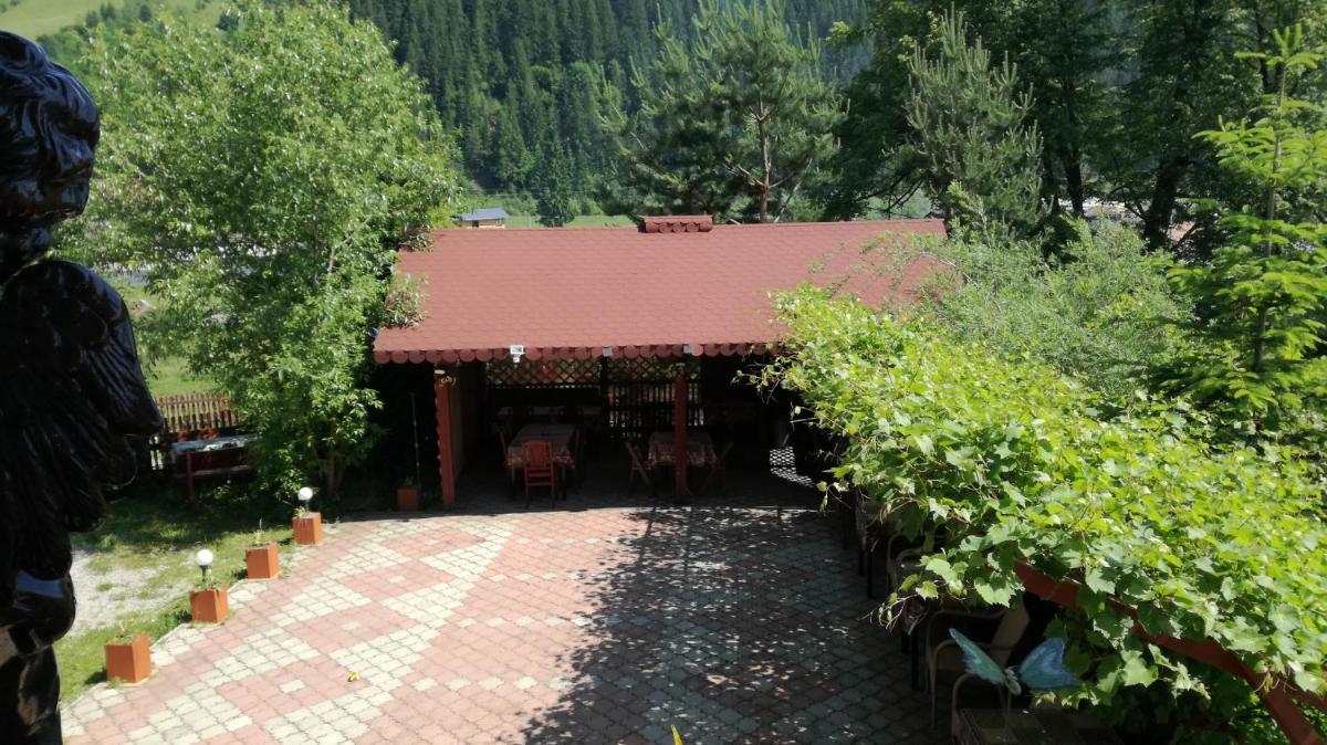Flori de Bucovina view 3