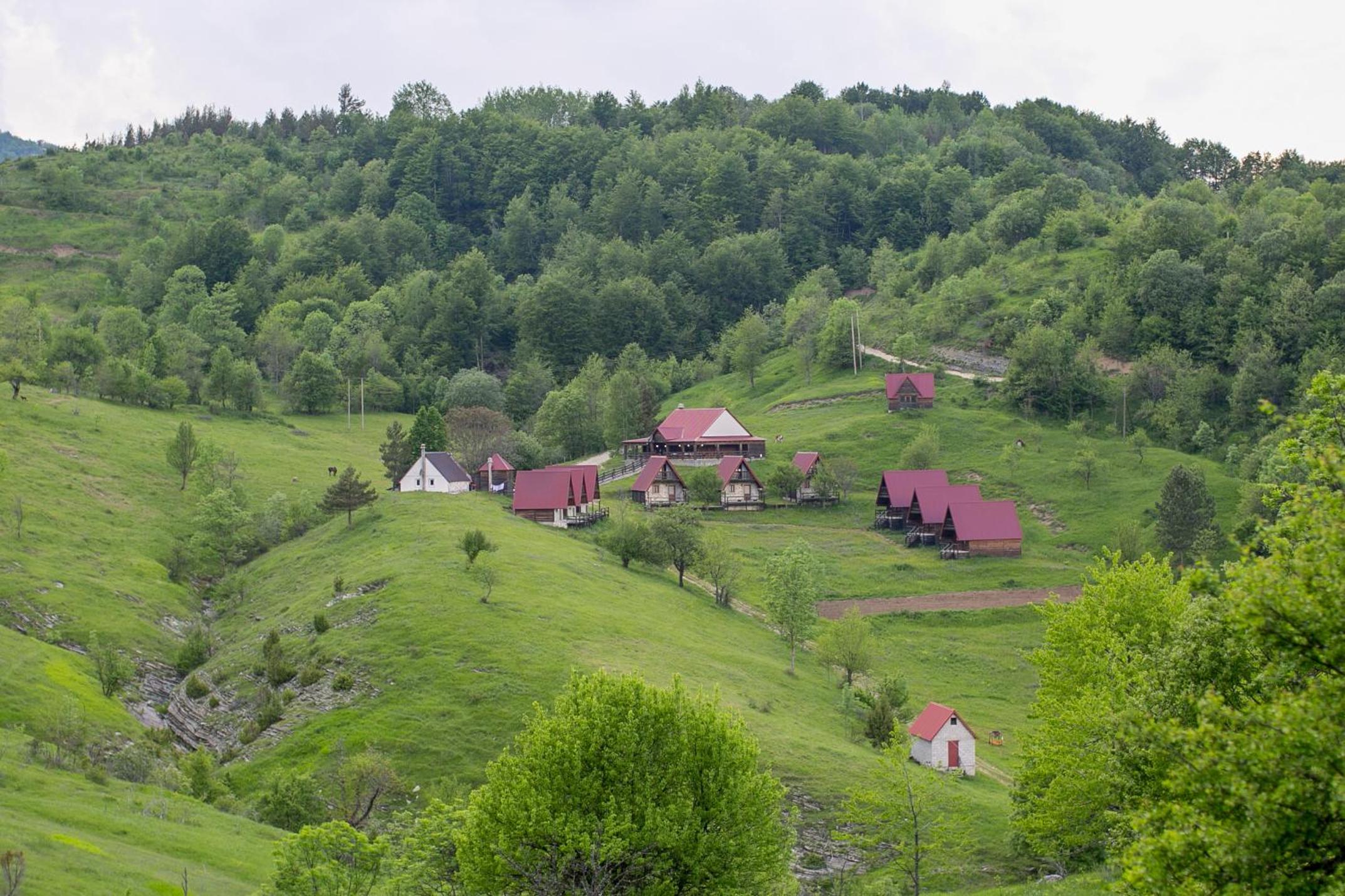 Photo 43