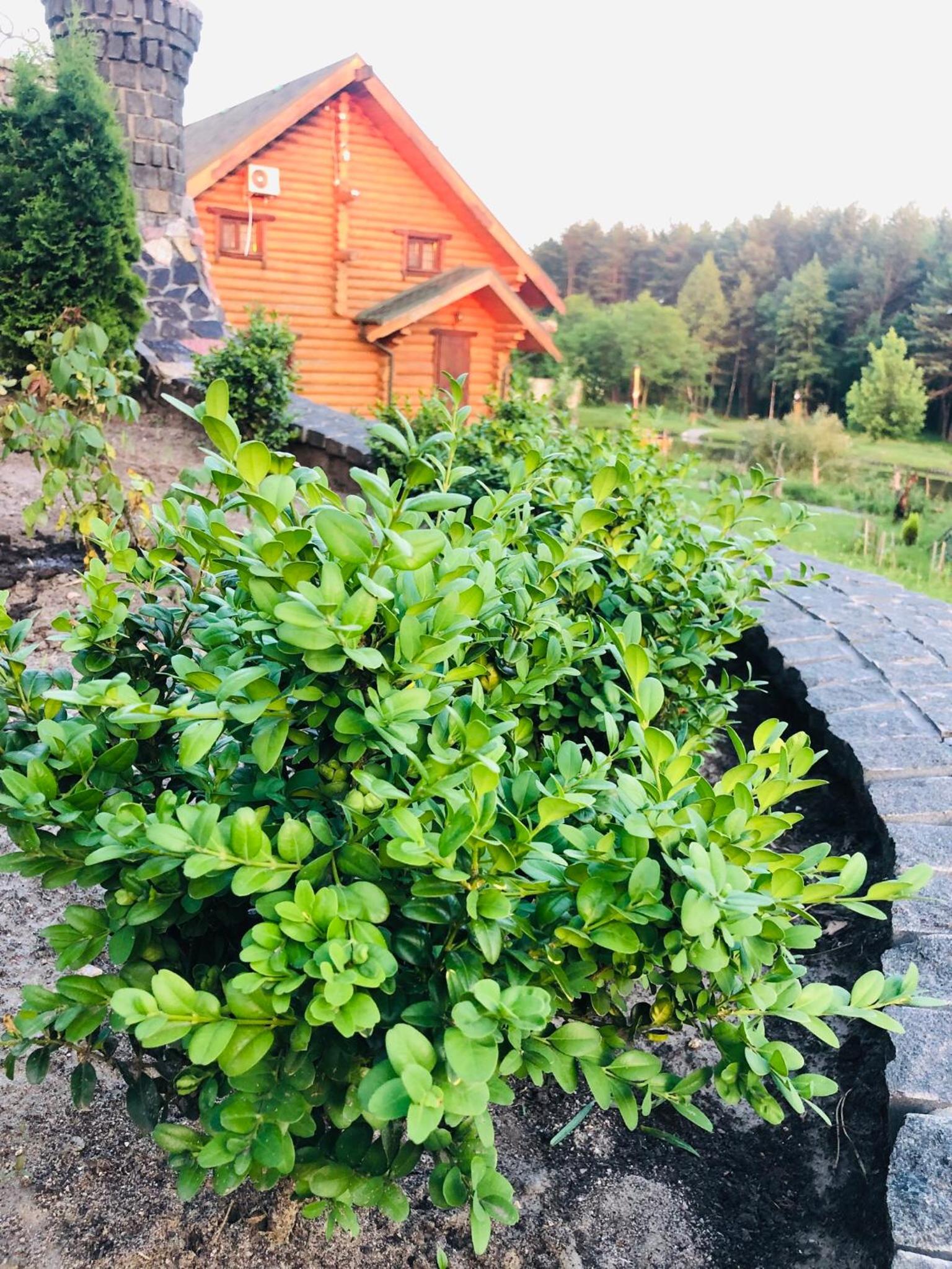 Photo 23