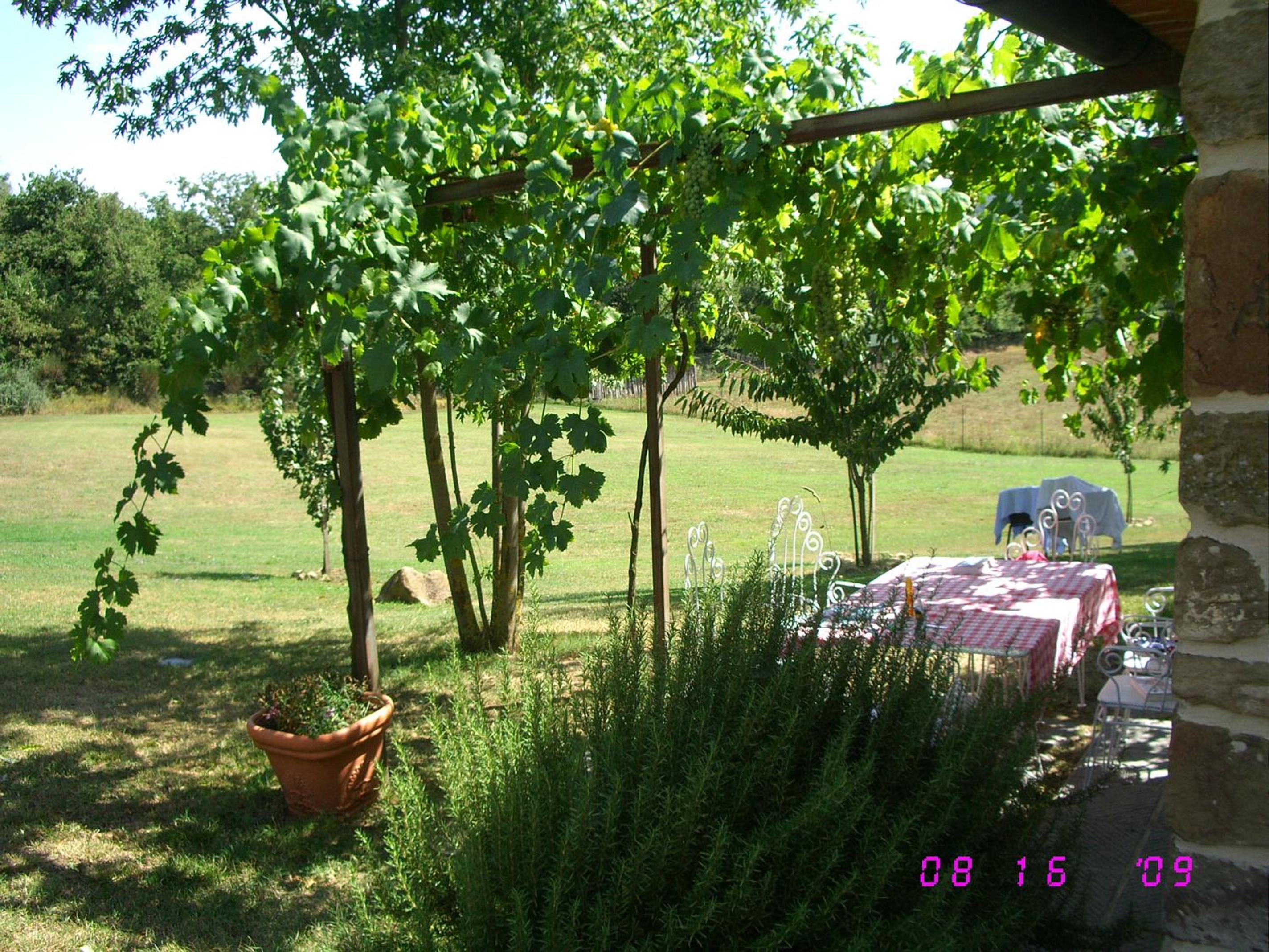 Photo 22