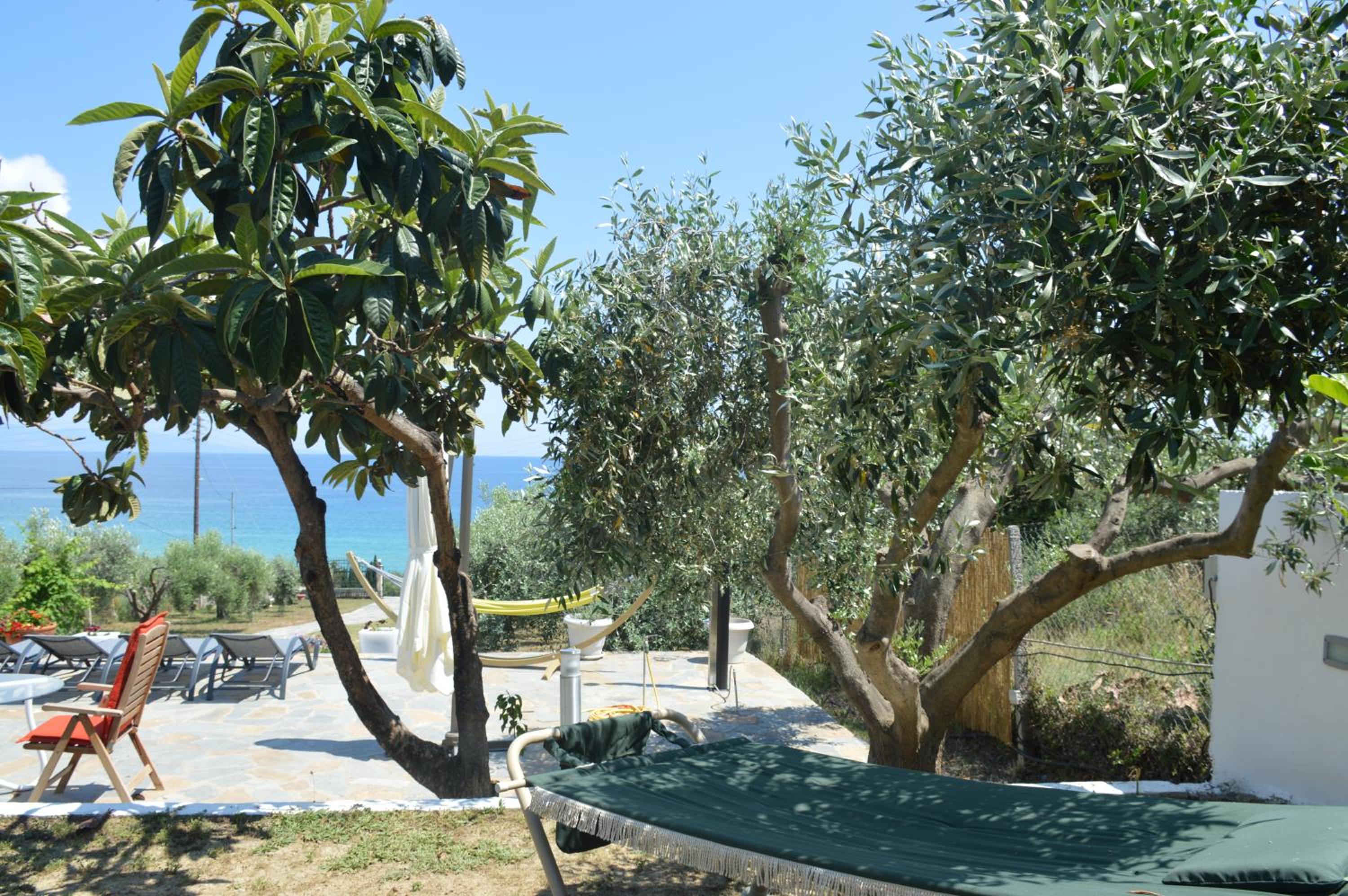 Photo 11