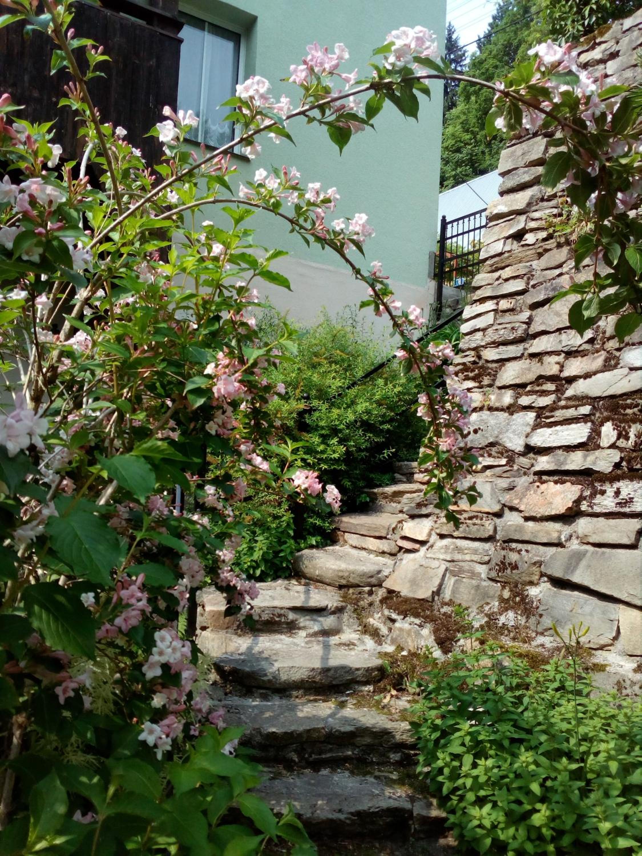 Apartamenty Kaskada