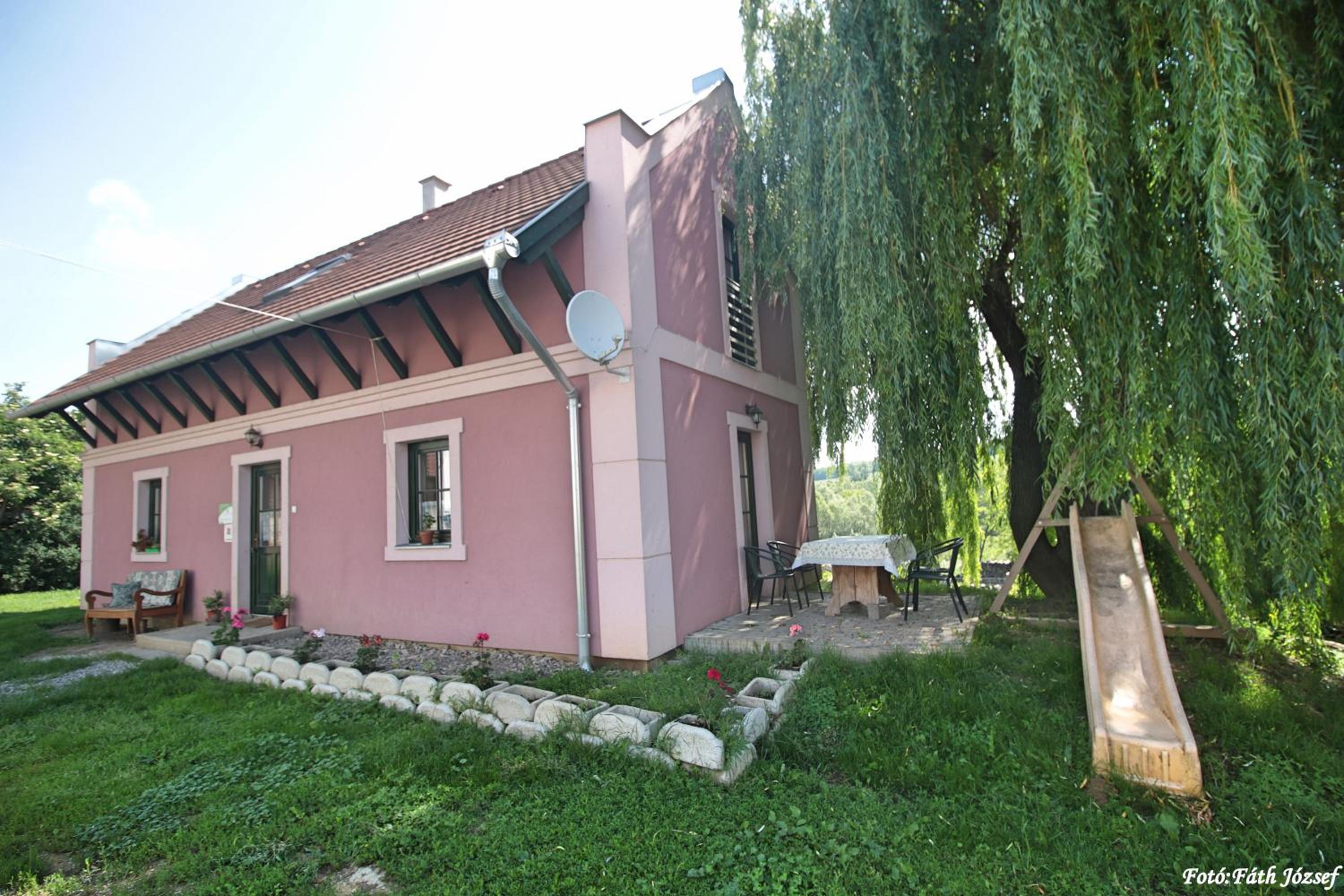 Photo 8