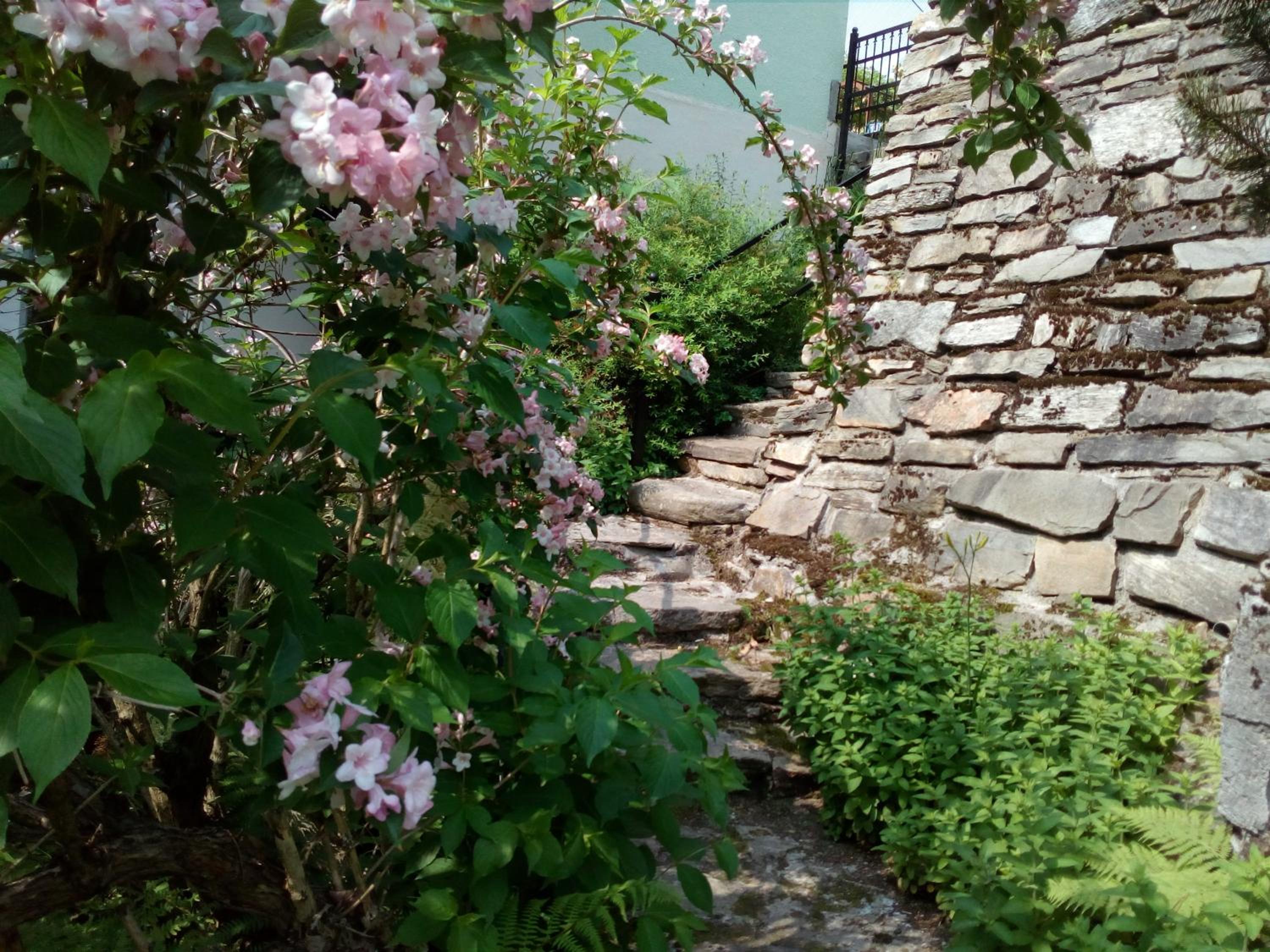 Apartamenty Kaskada