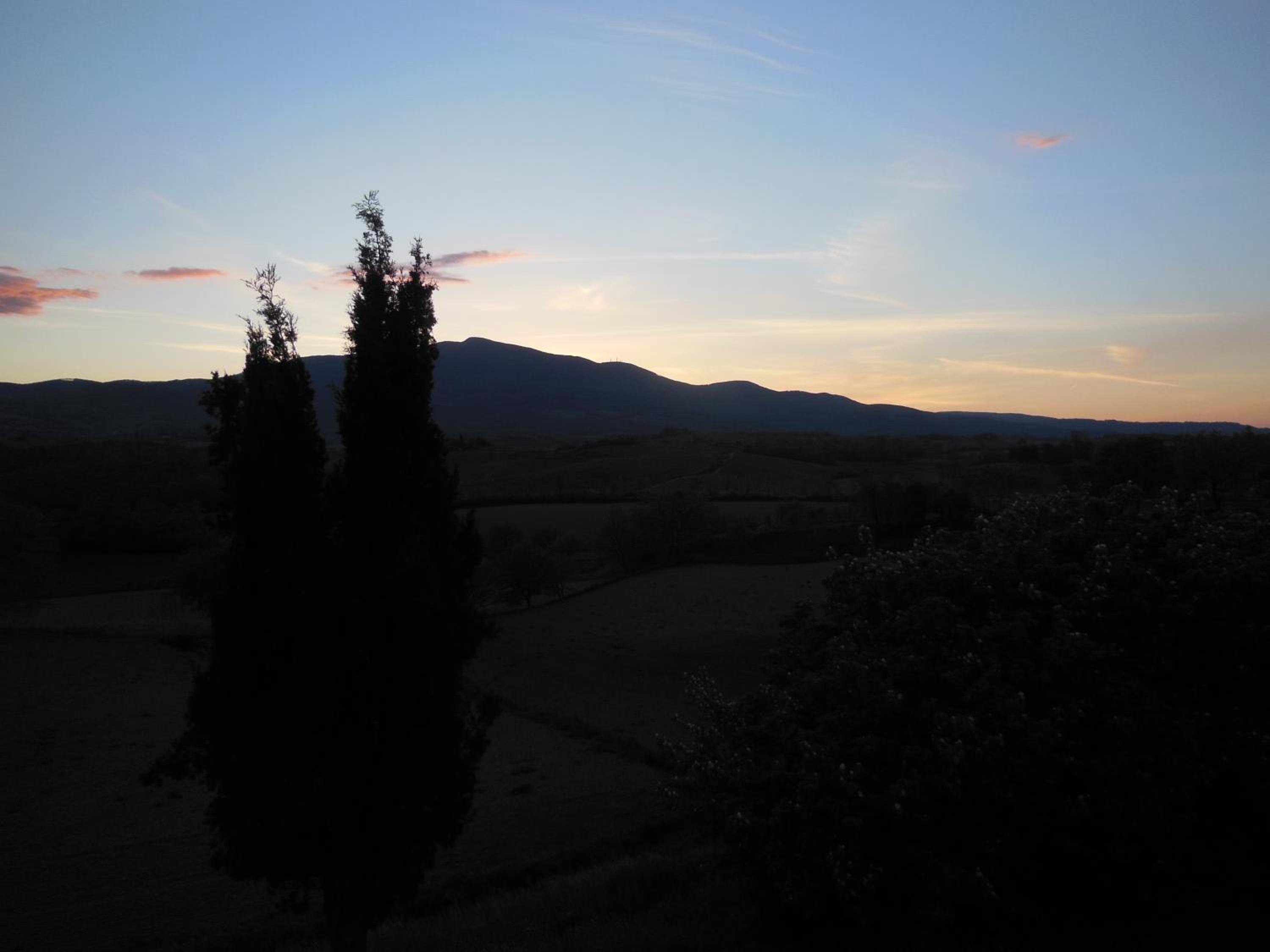 Photo 34