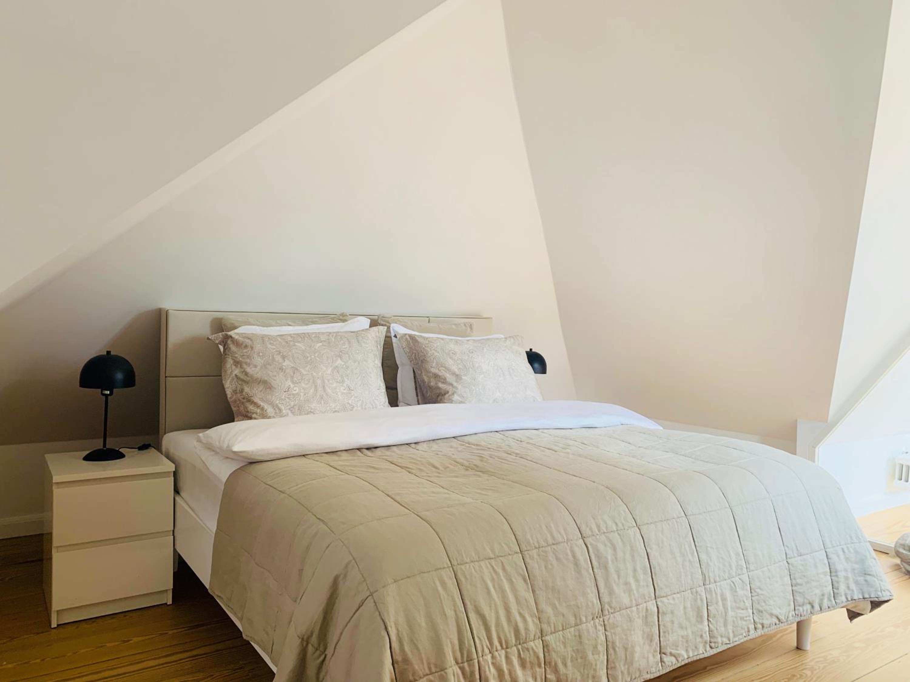 Luxury apartment in the heart of Copenhagen
