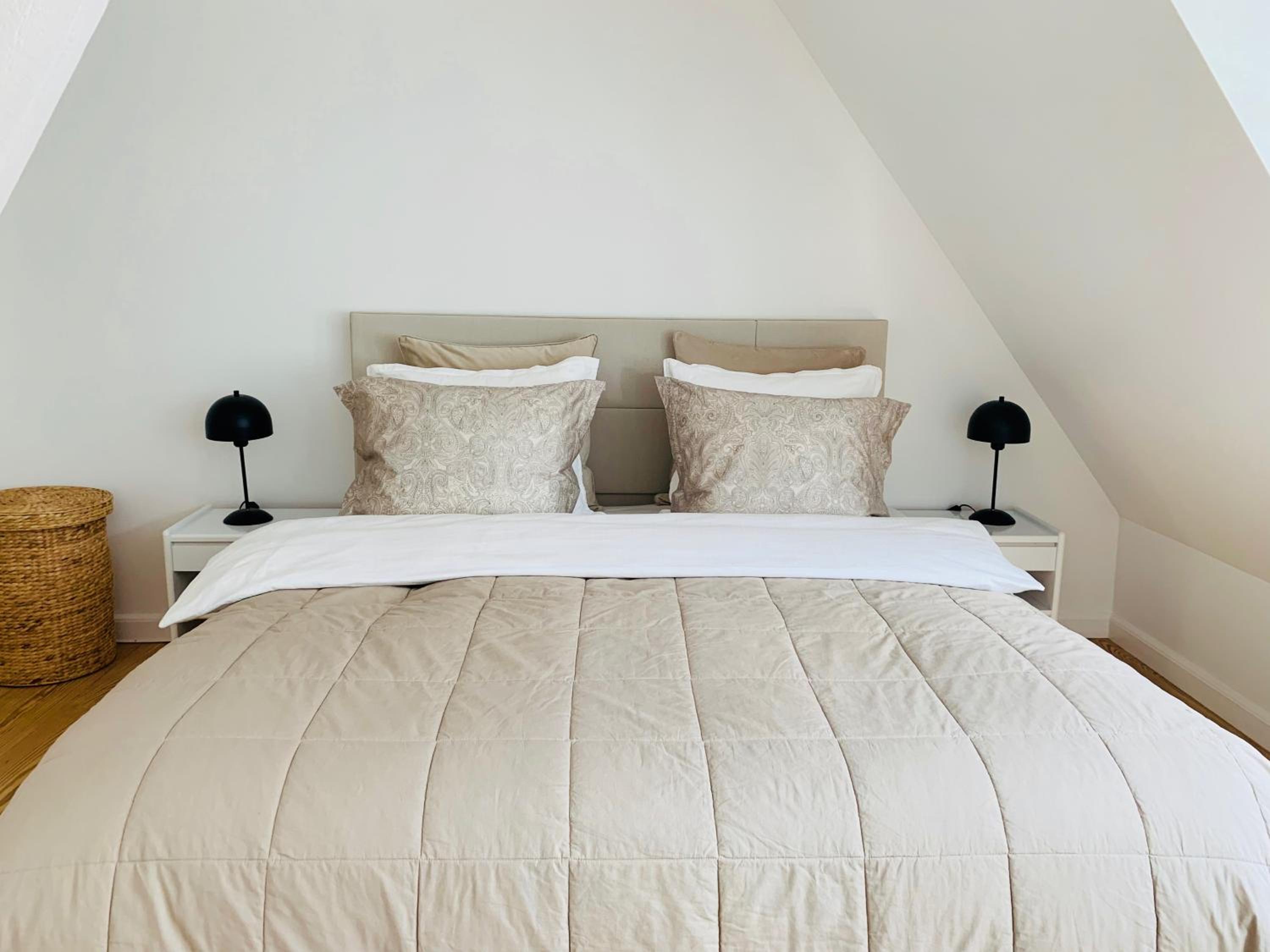 Luxury apartment in the heart of Copenhagen
