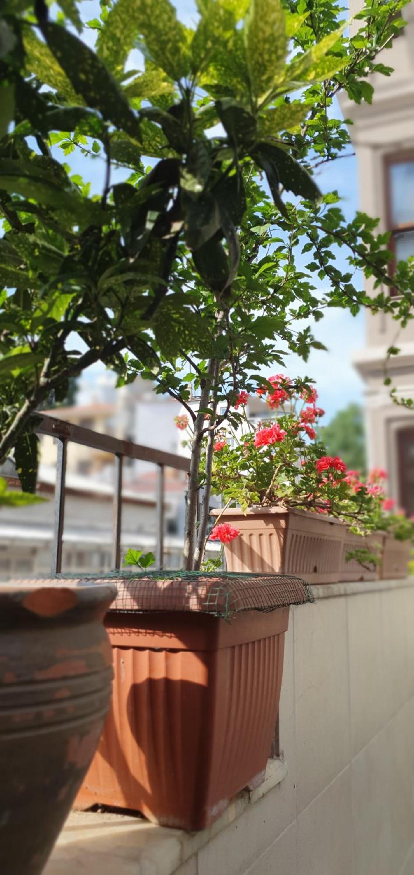 Faik Pasha Otelleri Özel Kategori Beyoğlu İstanbul - Image 20