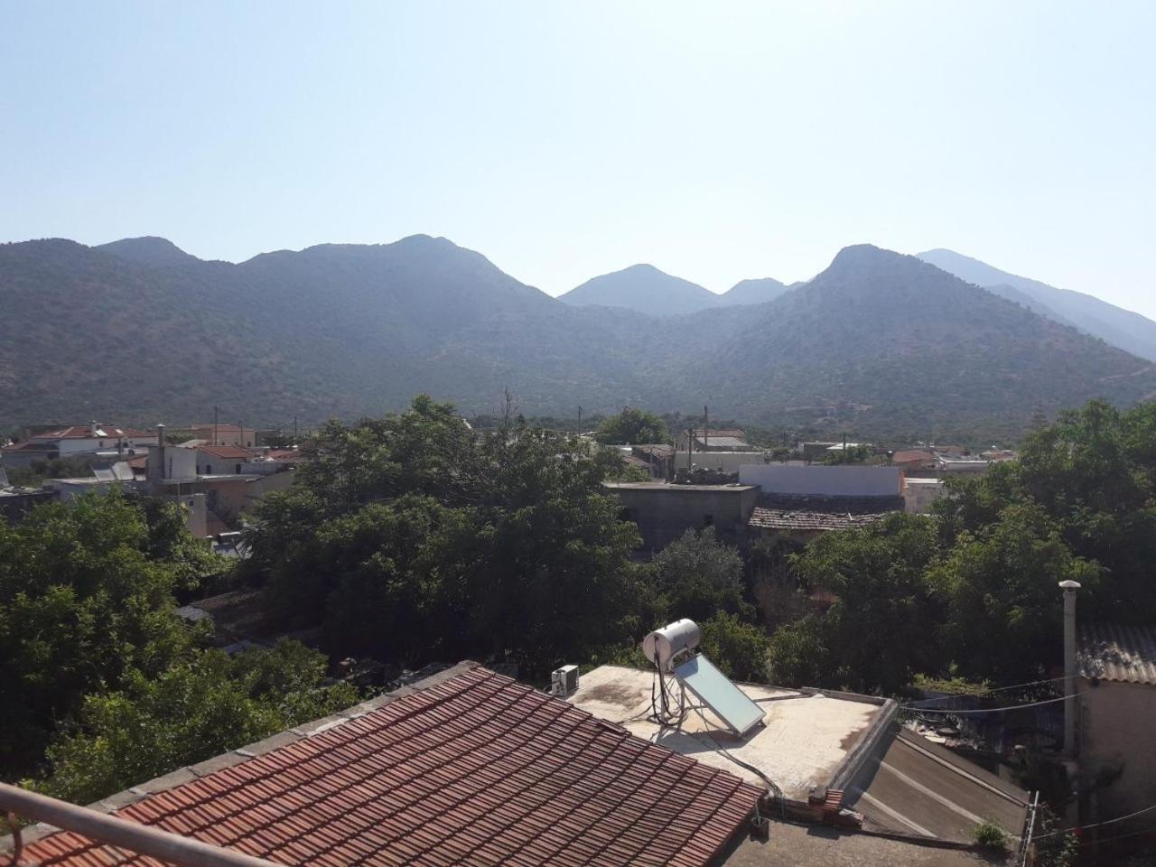 Photo 19
