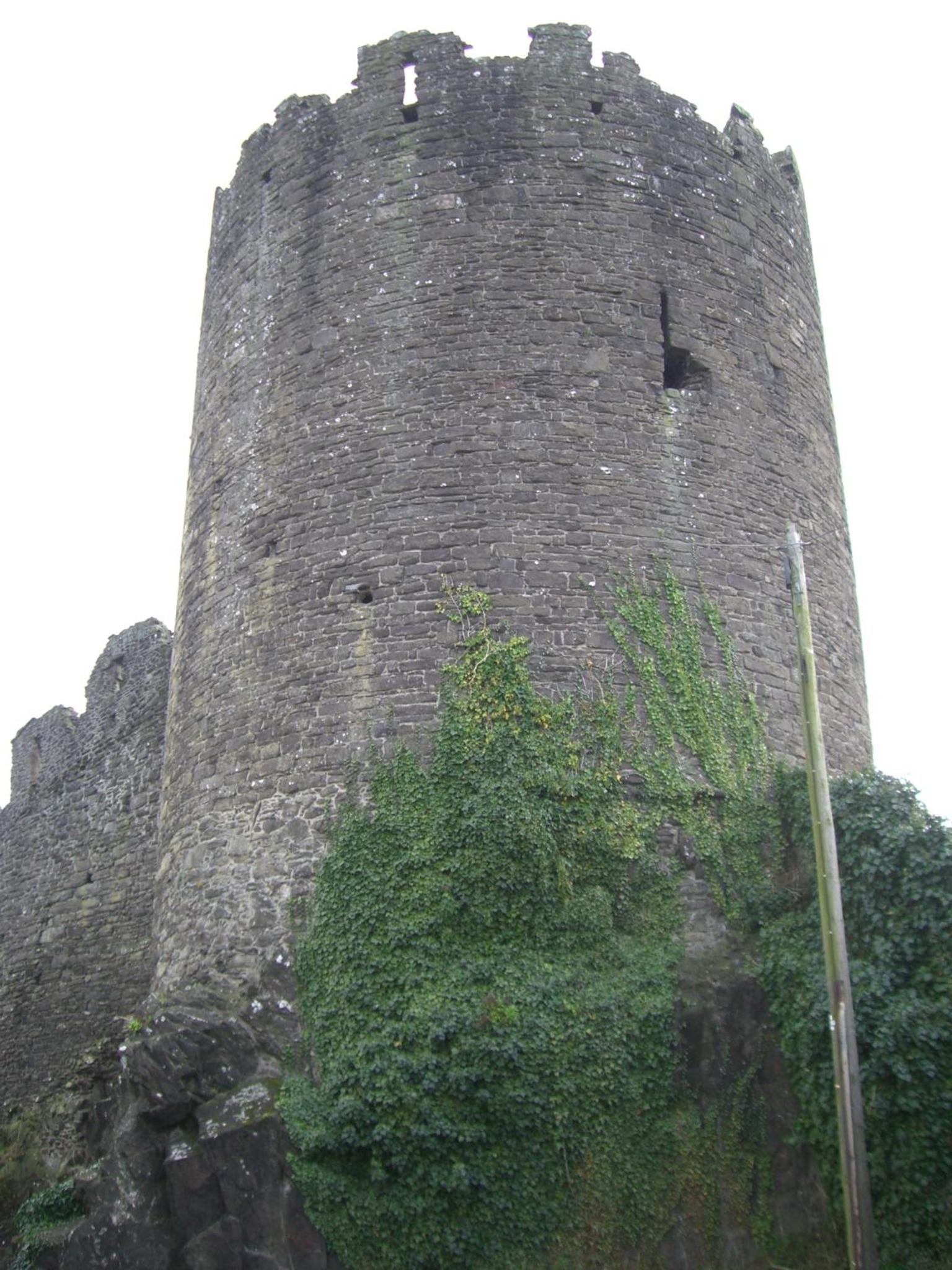 Photo 7