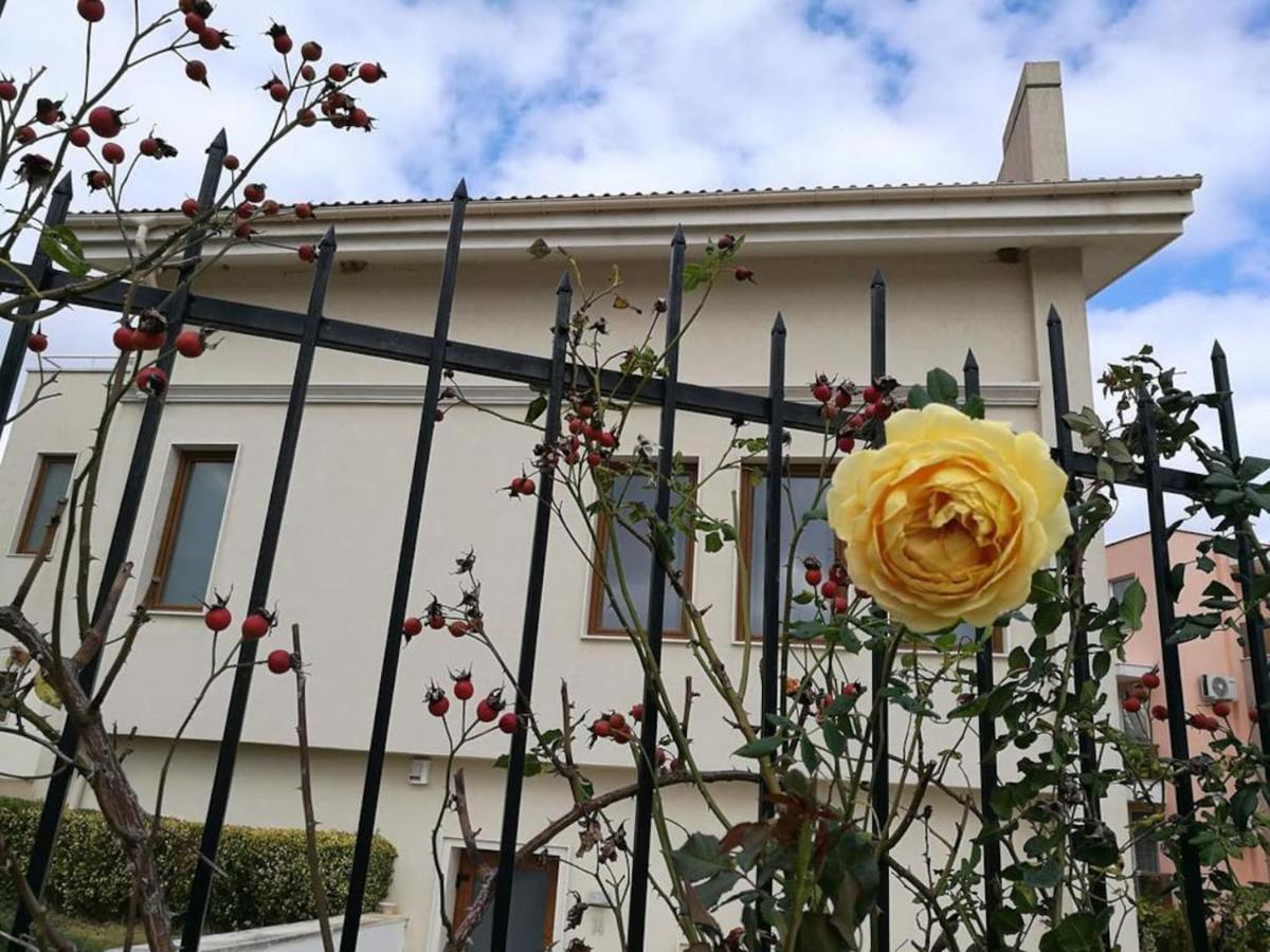 Exclusive Big Villa