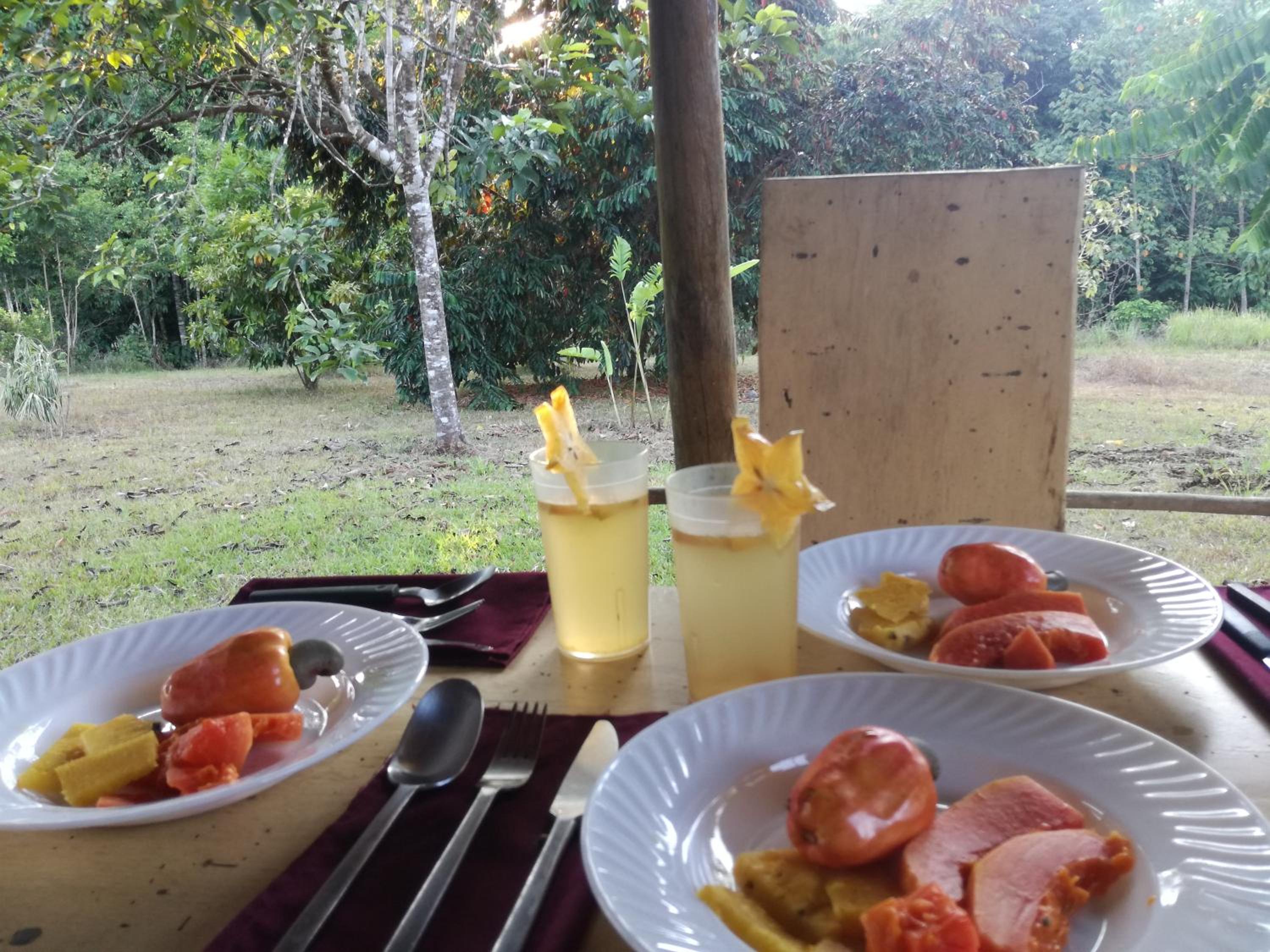 Eco Lodge&Farm Rustic Roots Reserve